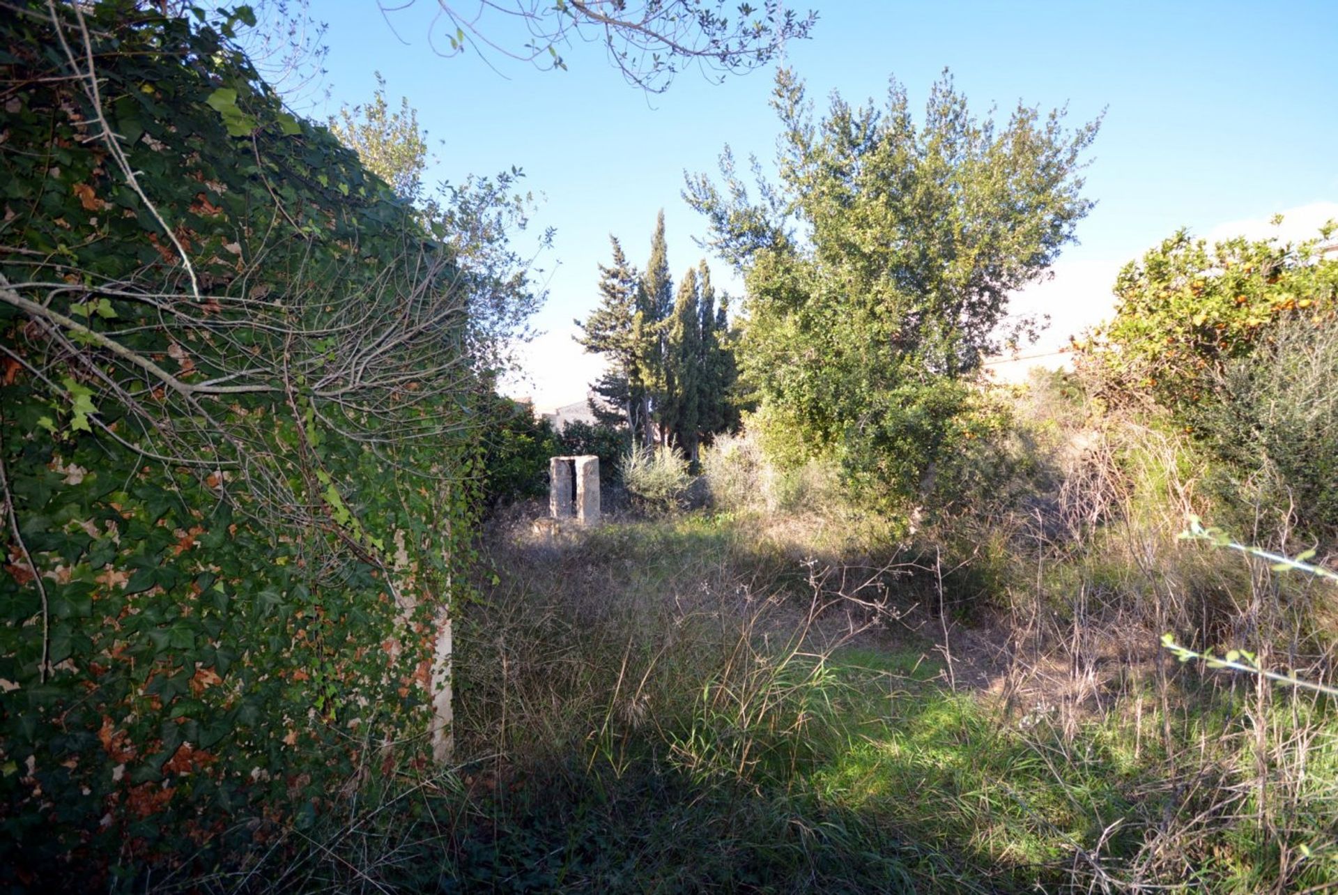 Land in Manacor, Balearic Islands 10052252