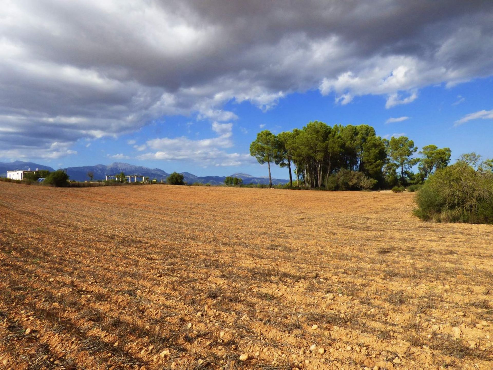 عمارات في Binifuell, Mallorca 10052260