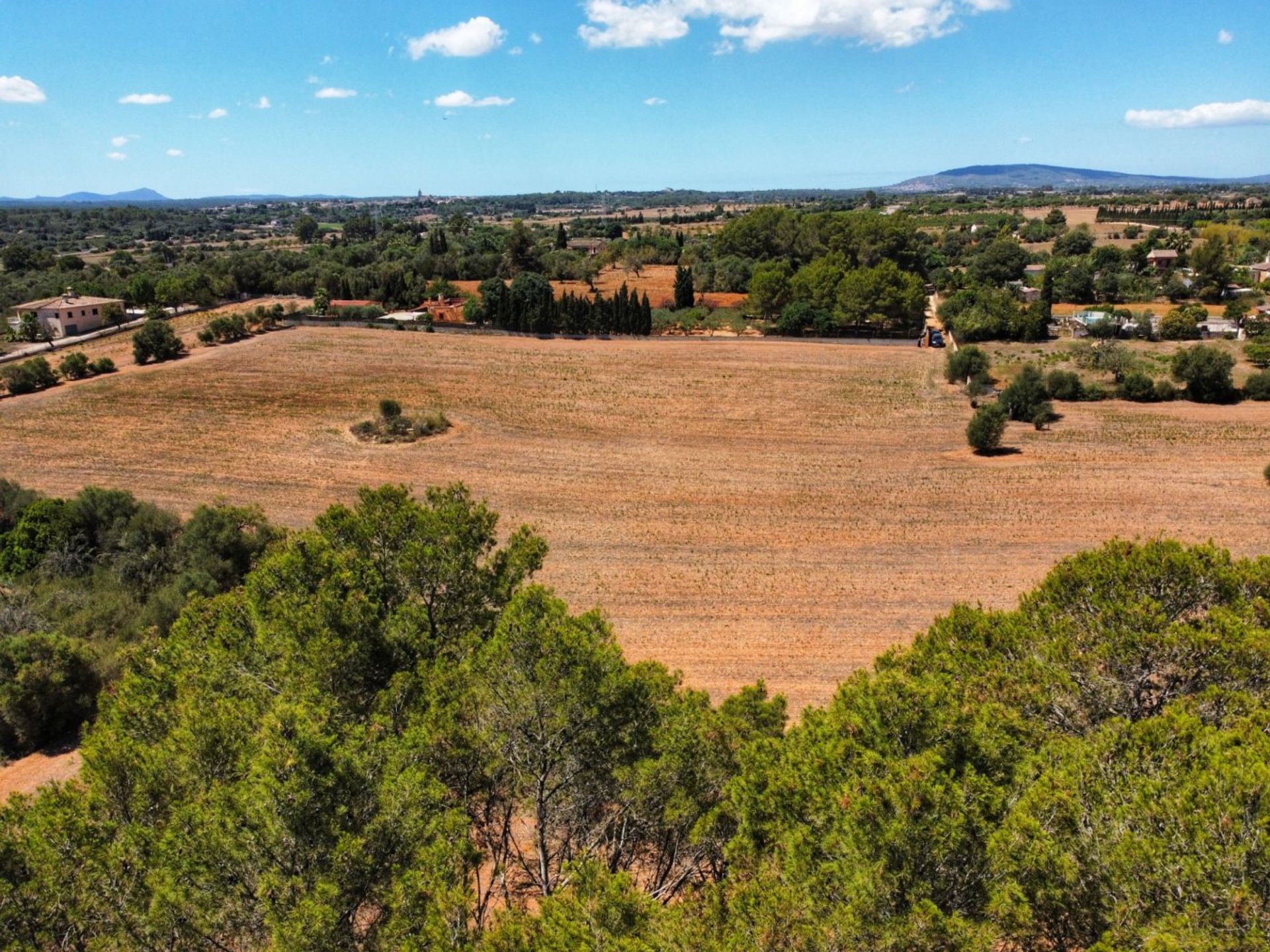 عمارات في Binifuell, Mallorca 10052260