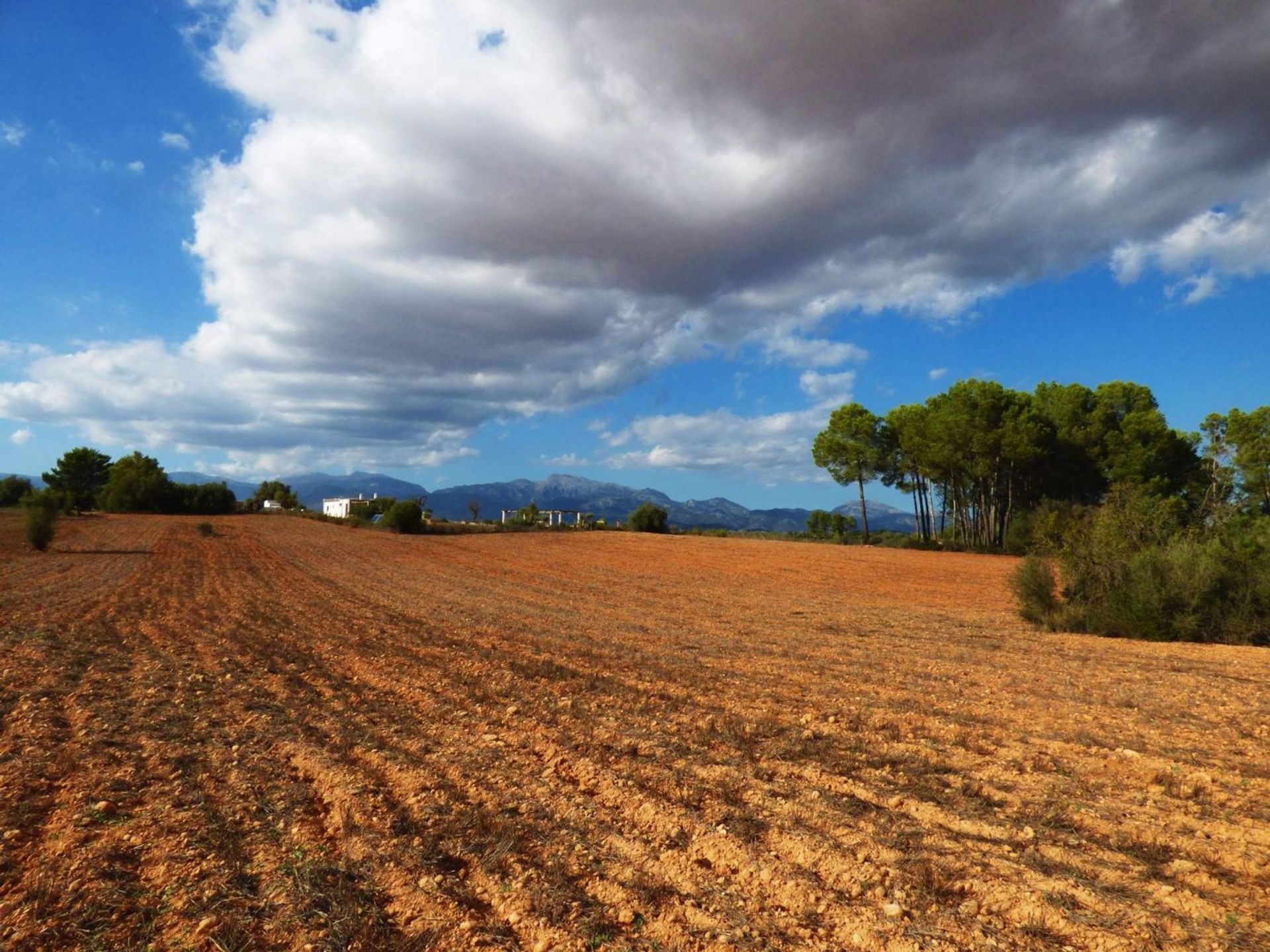 عمارات في Binifuell, Mallorca 10052260