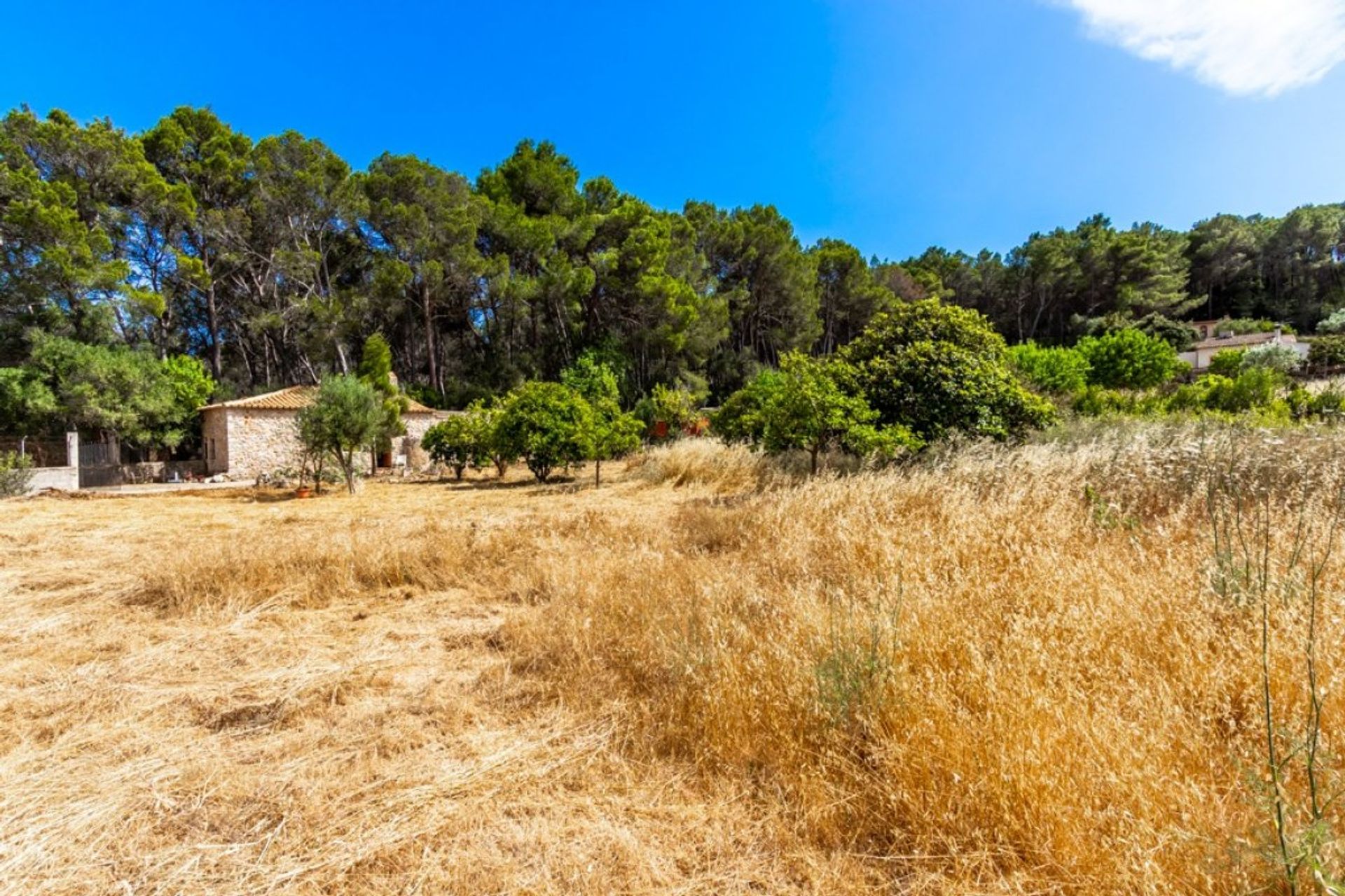 Condominium in Portol, Mallorca 10052285