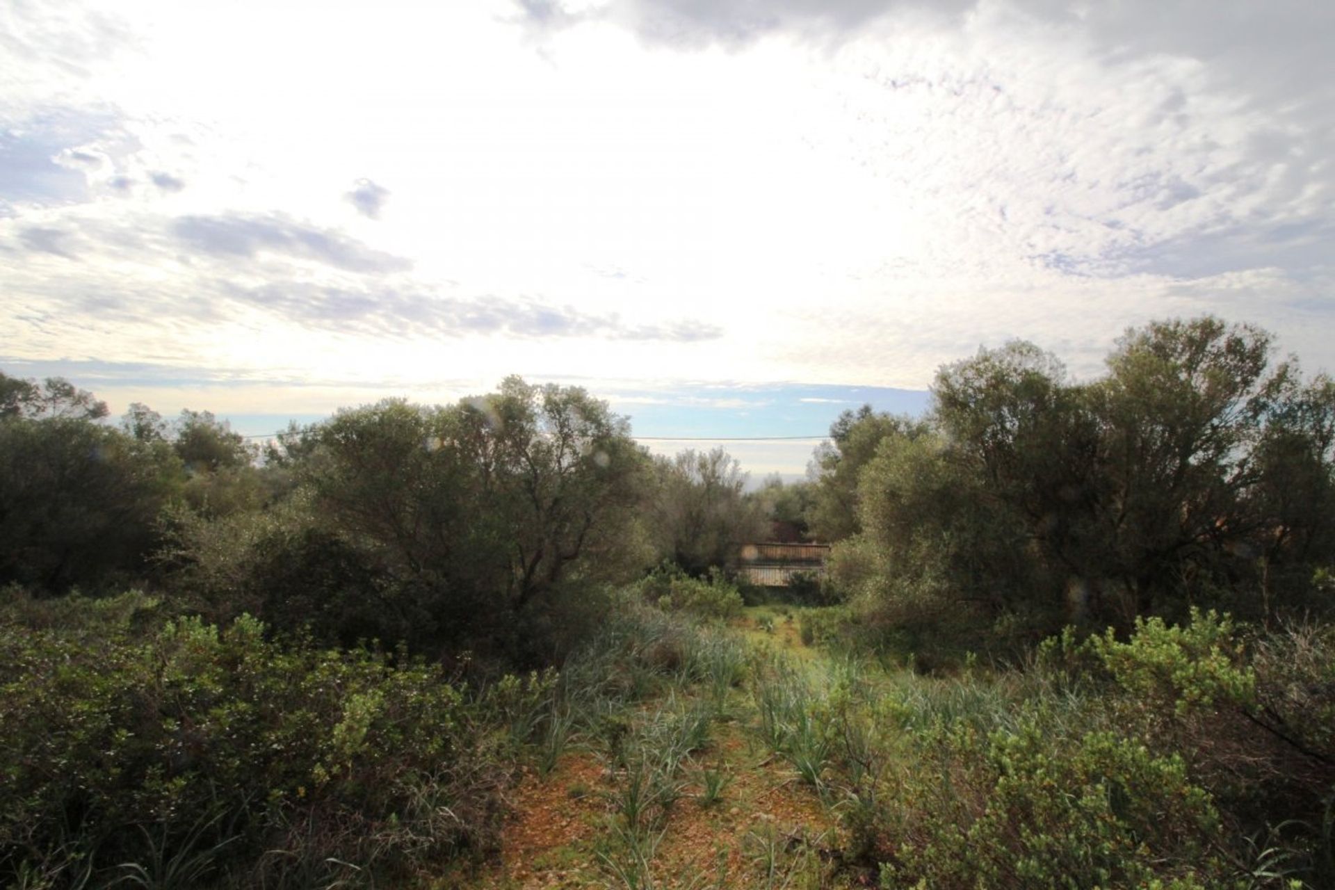 Land i Puntiro, Mallorca 10052289