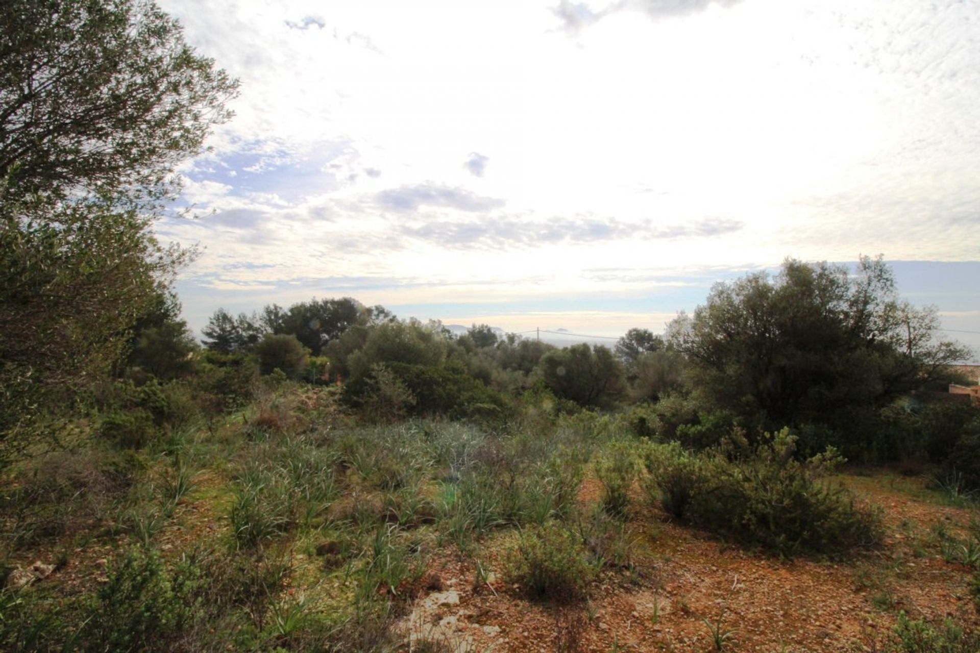 Land i Puntiro, Mallorca 10052289