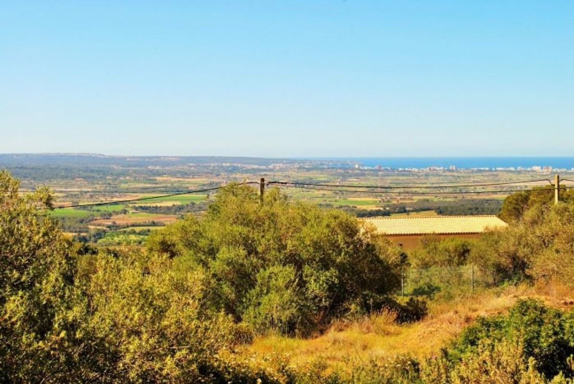 Land i Puntiro, Mallorca 10052289