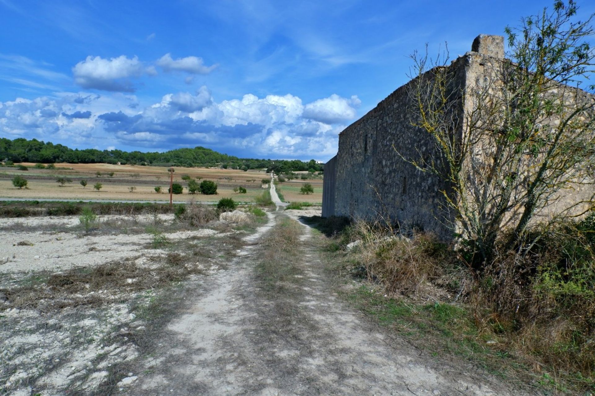 Eigentumswohnung im Palma, Balearen 10052292