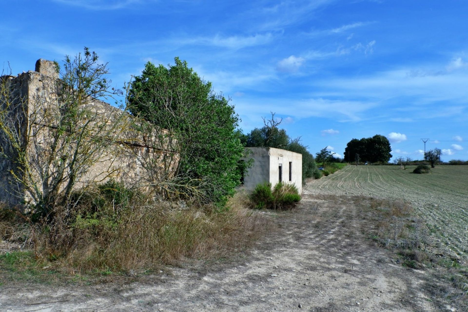 Eigentumswohnung im Palma, Balearen 10052292