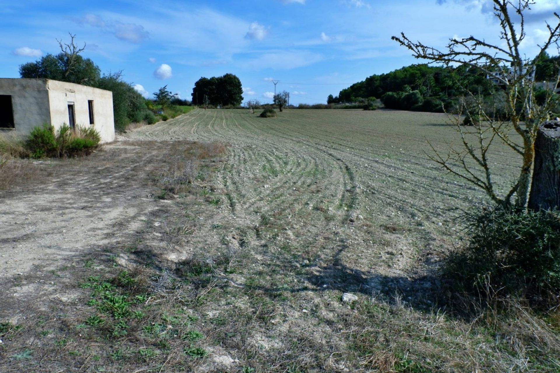 Eigentumswohnung im Son Miro, Mallorca 10052292