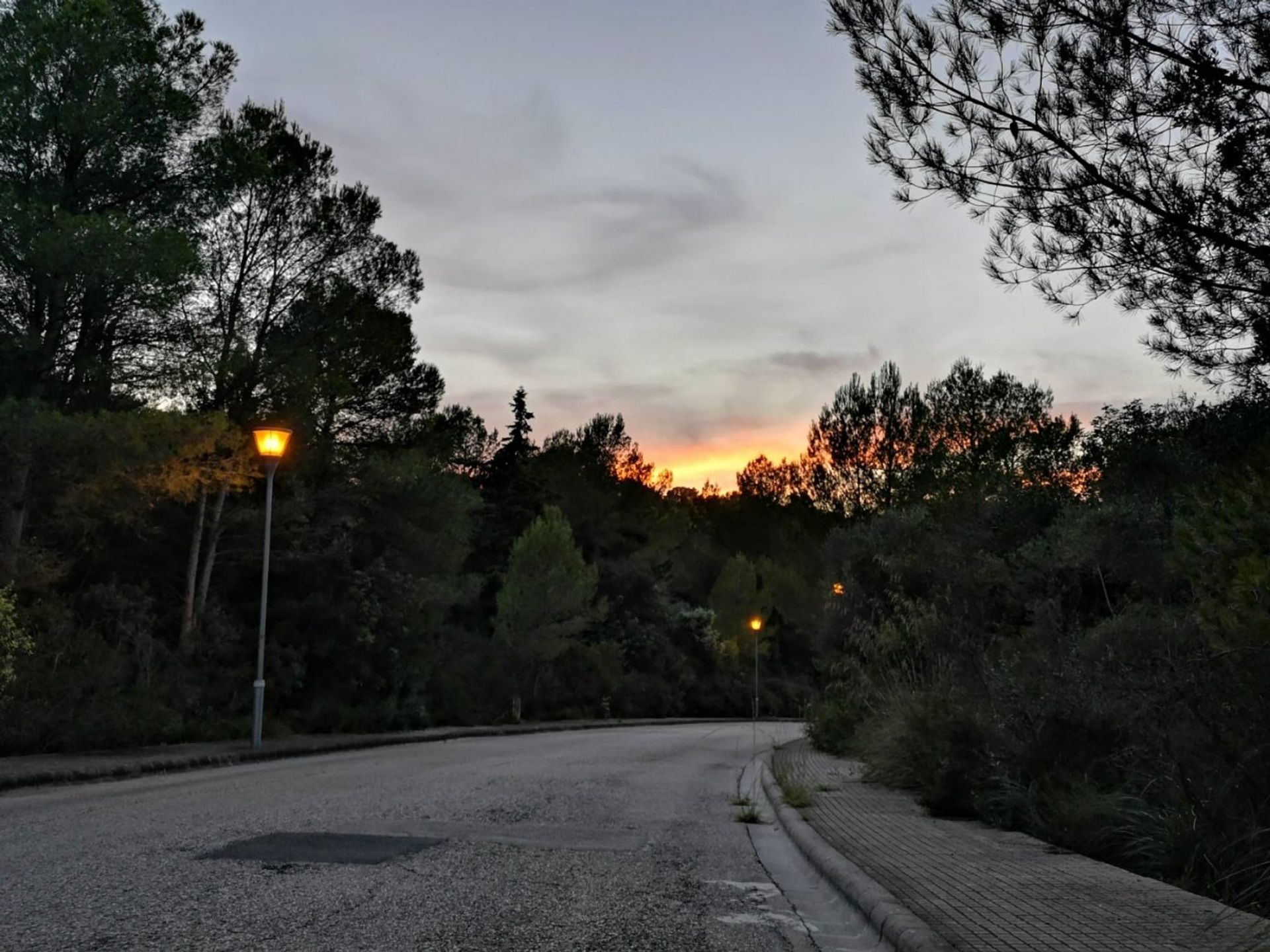 Земля в Paraiso de Bonaire, Mallorca 10052295