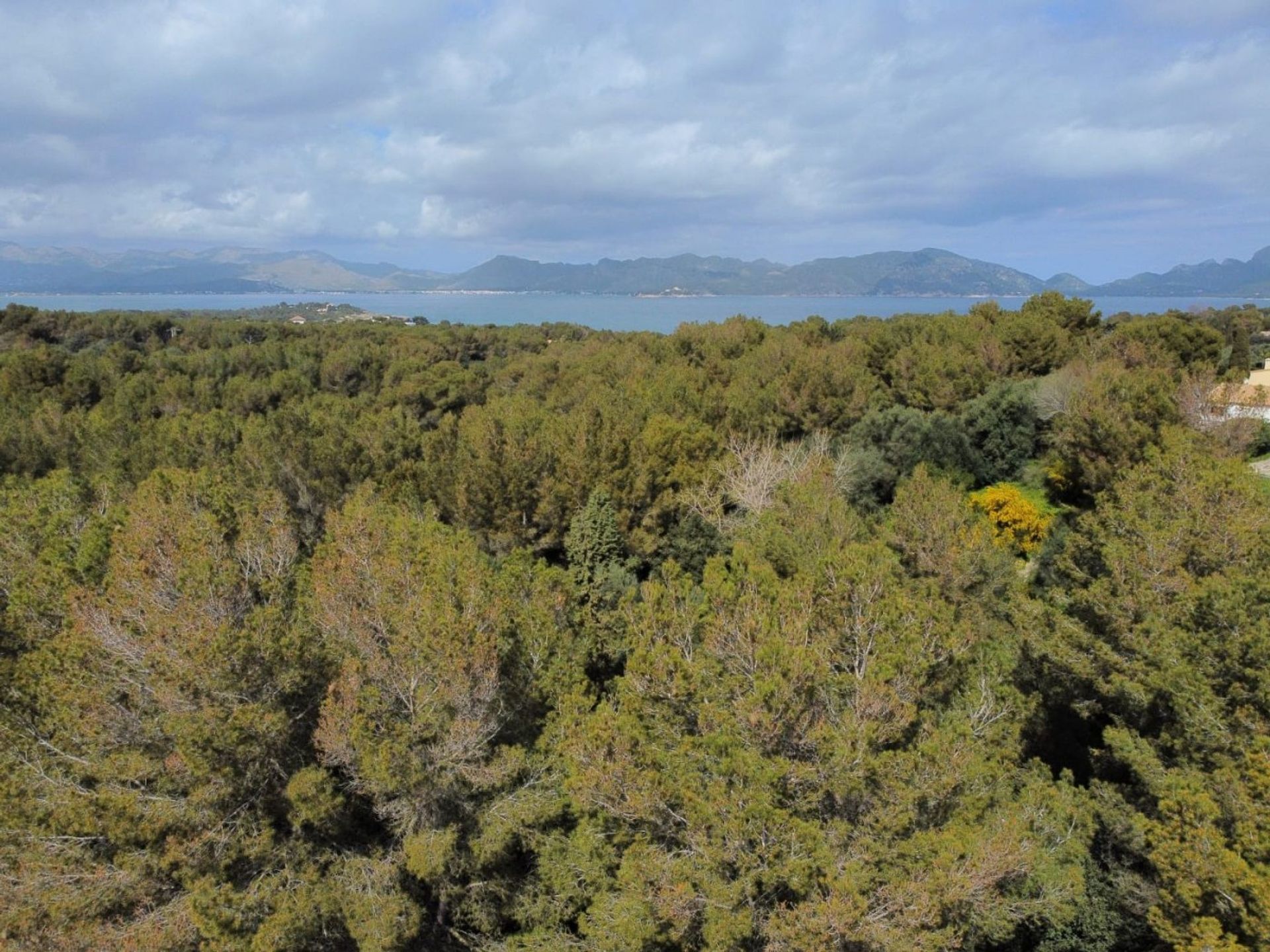 Земля в Paraiso de Bonaire, Mallorca 10052295