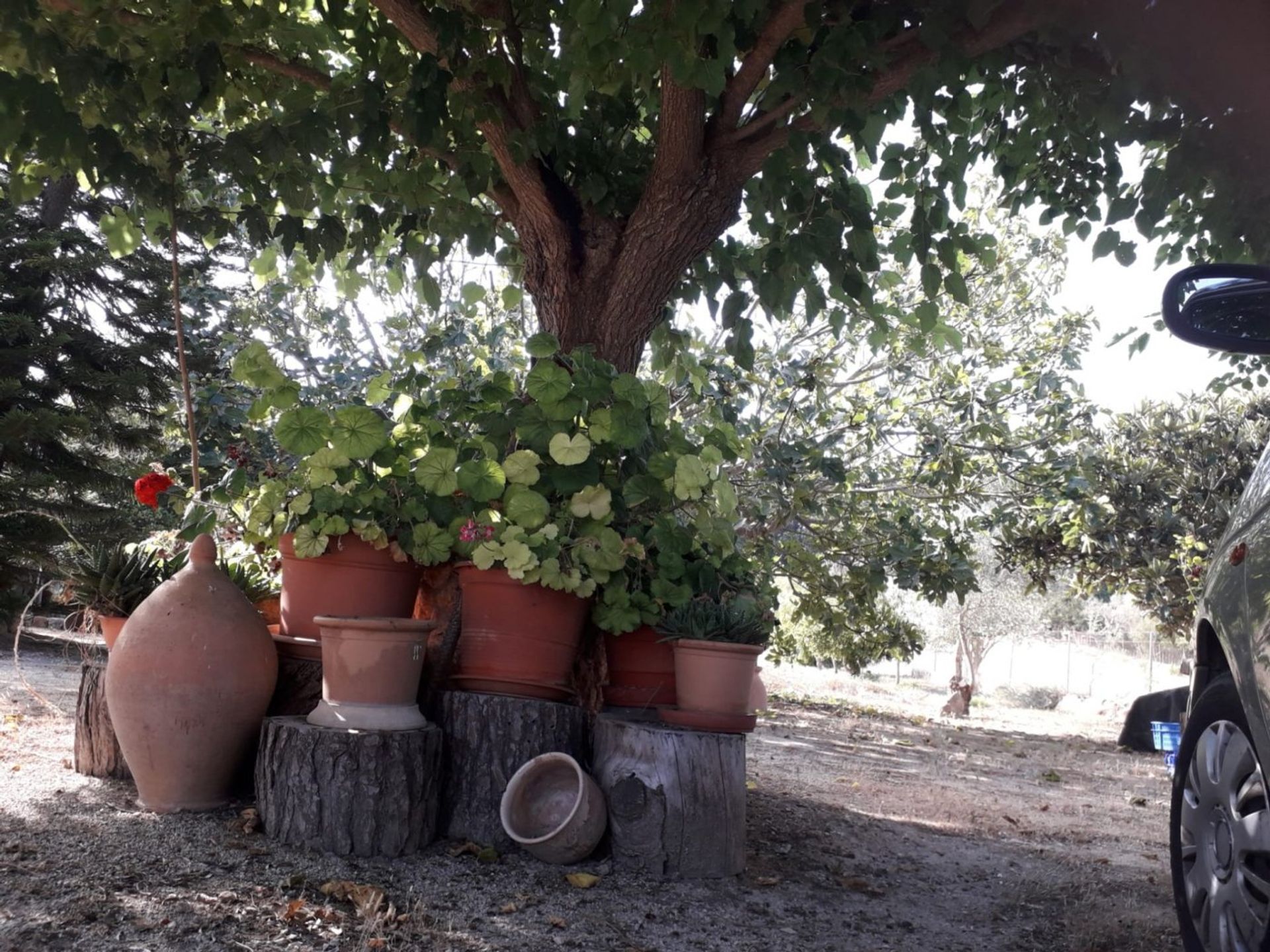 loger dans Son Bernat, Mallorca 10052338