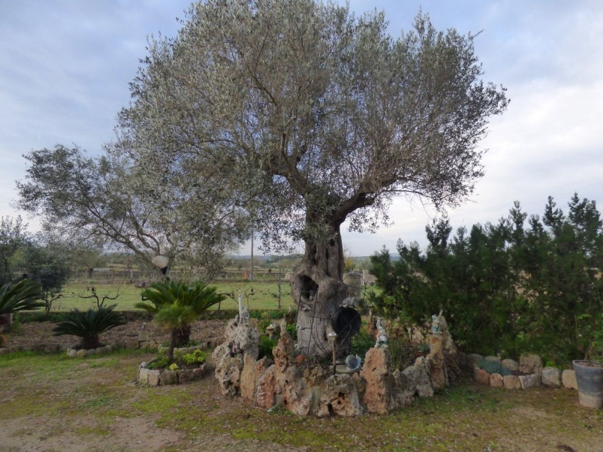 loger dans Son Bernat, Mallorca 10052338