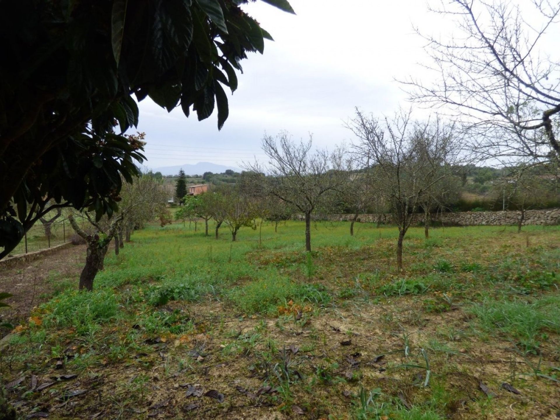 loger dans Son Bernat, Mallorca 10052338