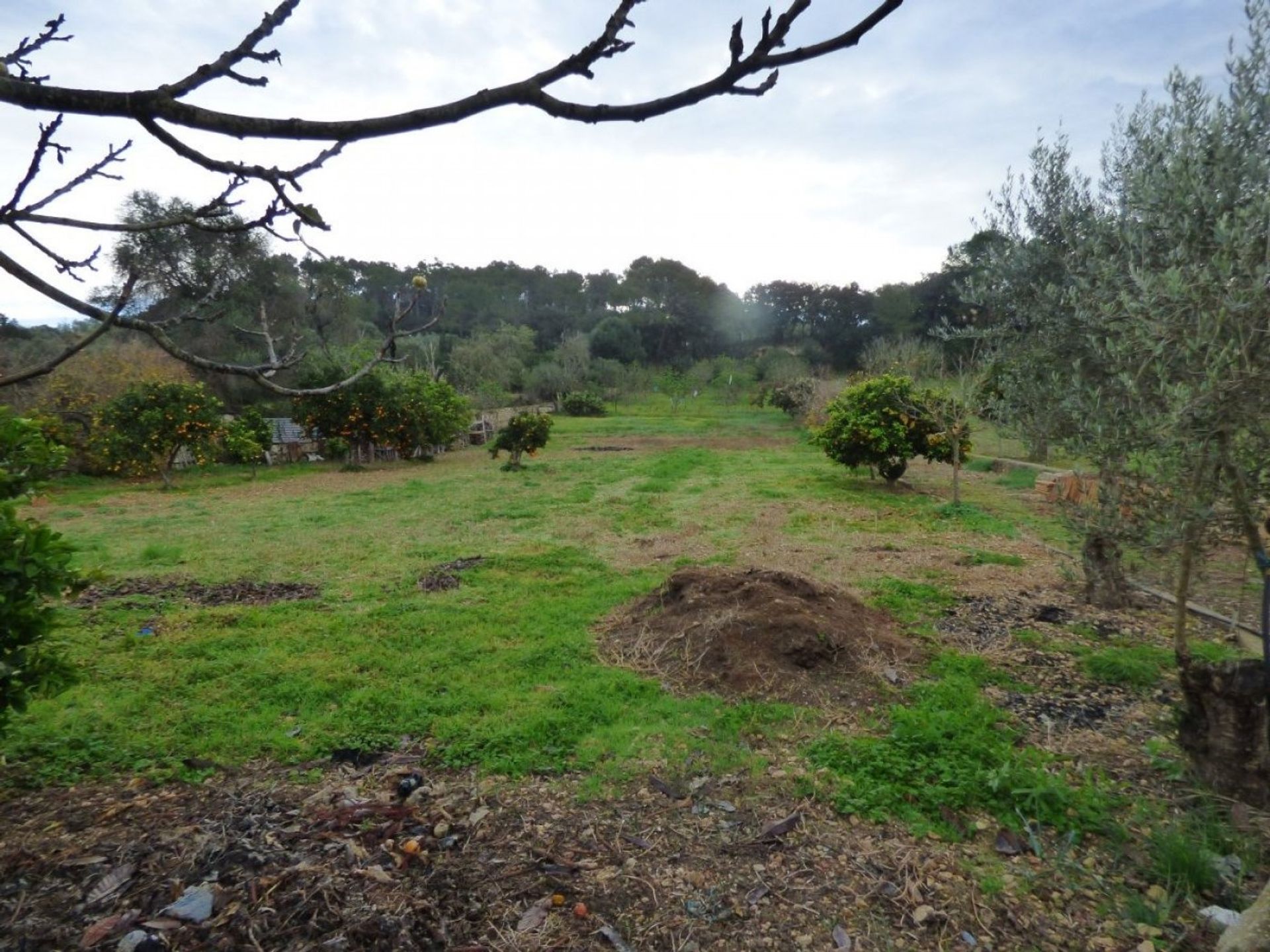 loger dans Son Bernat, Mallorca 10052338