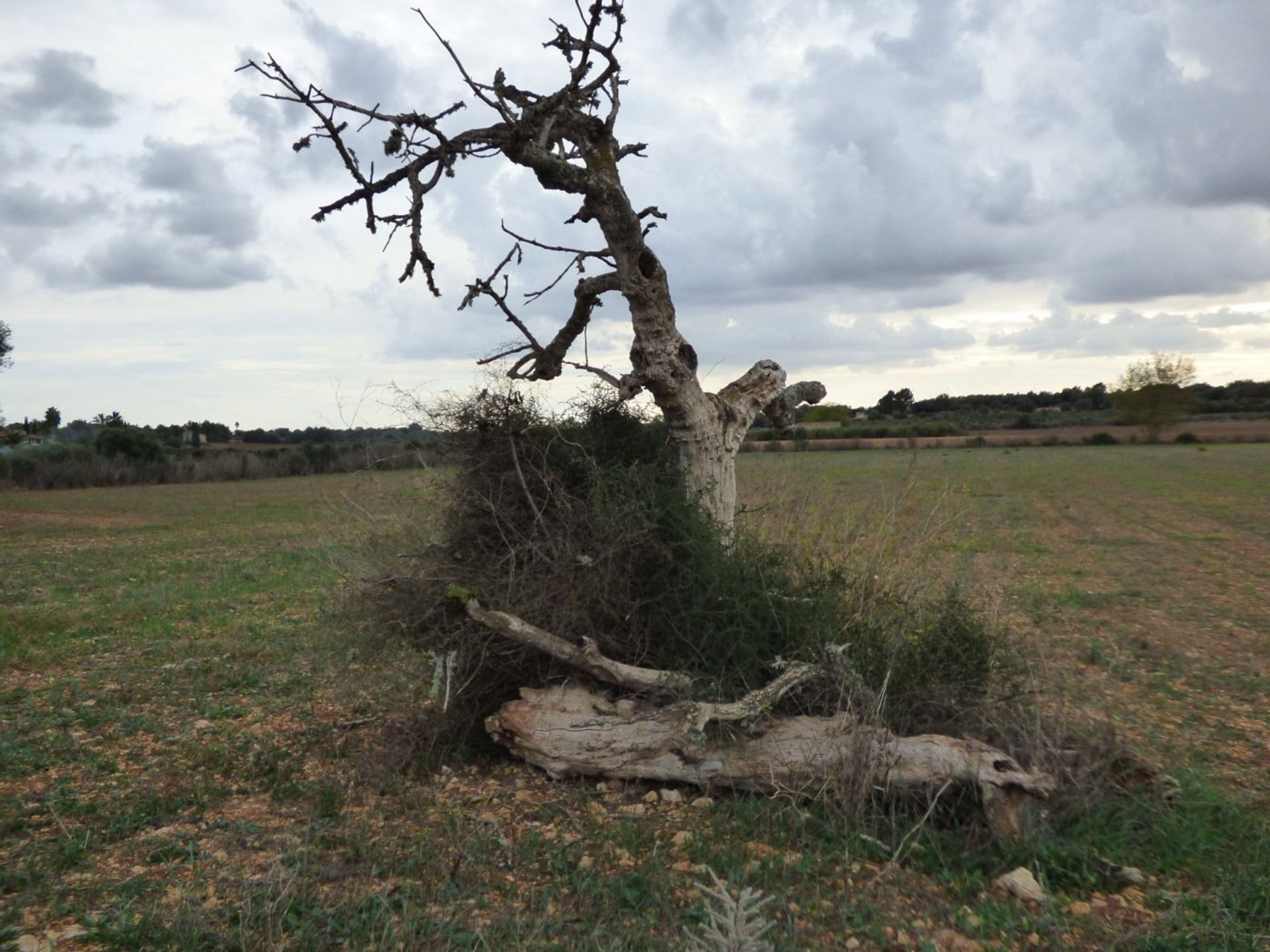 קוֹנדוֹמִינִיוֹן ב Afueras, Mallorca 10052367