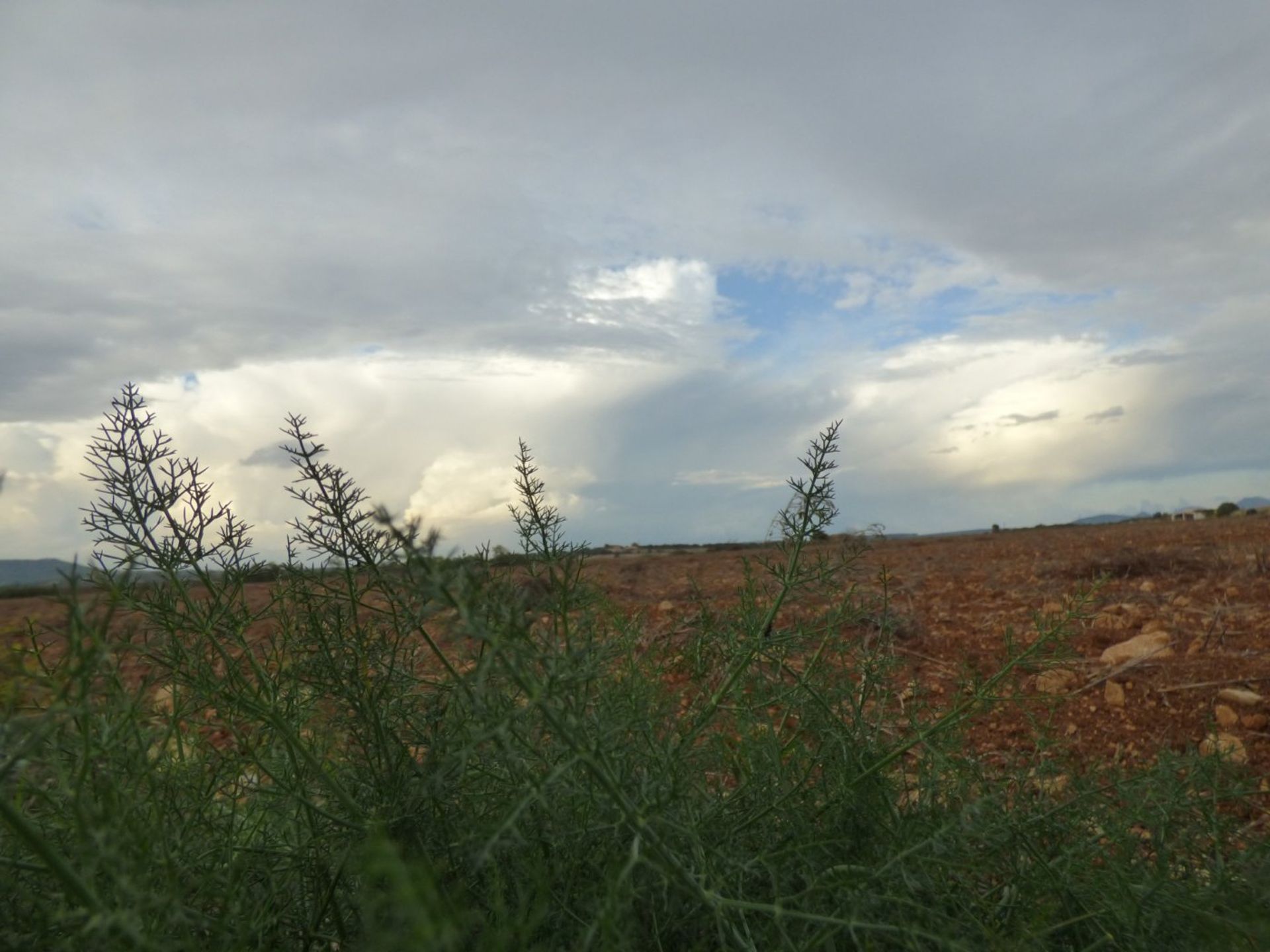 קוֹנדוֹמִינִיוֹן ב הבן רפיניה, האיים הבלאריים 10052367