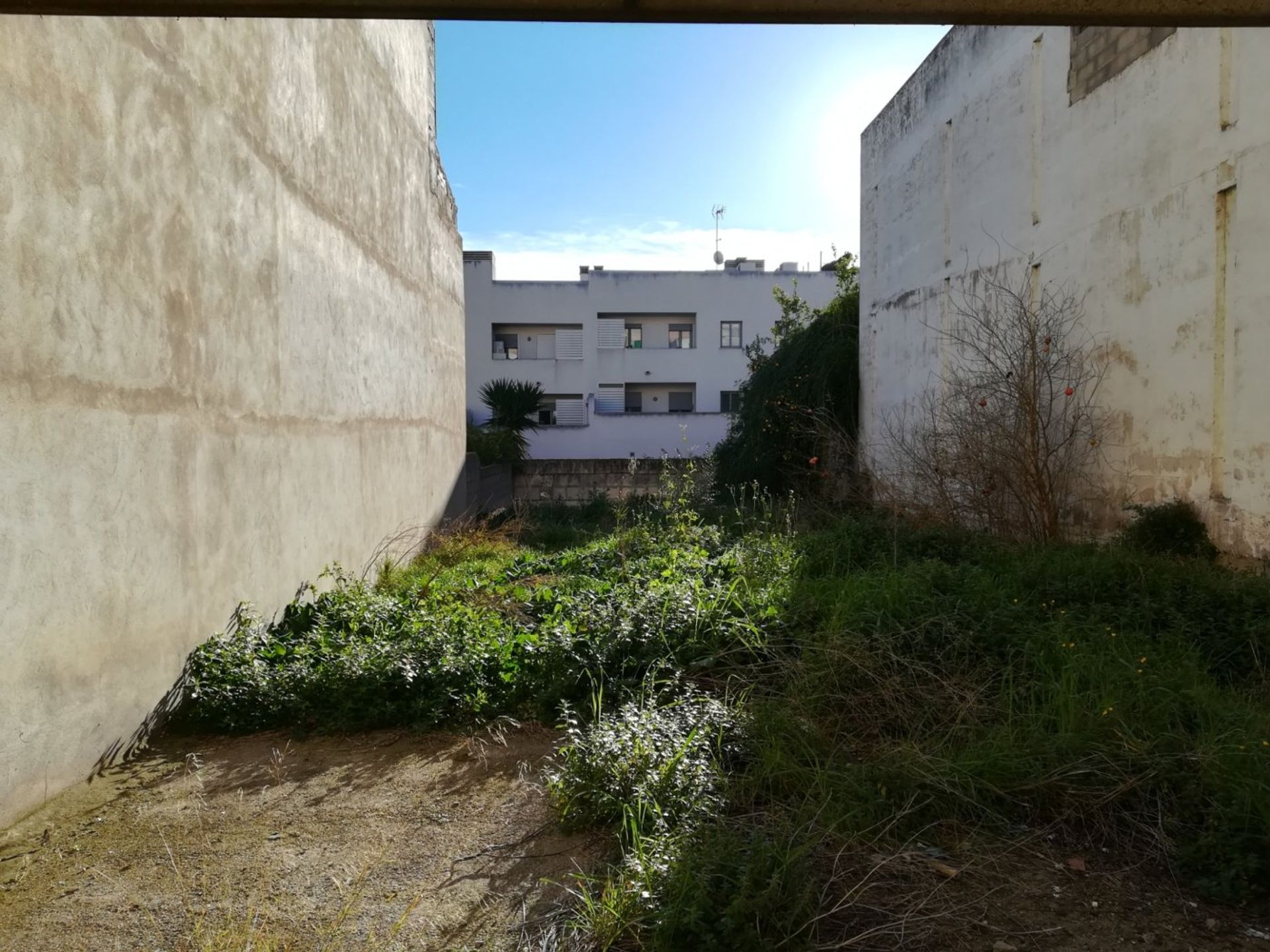 सम्मिलित में Centro, Mallorca 10052383