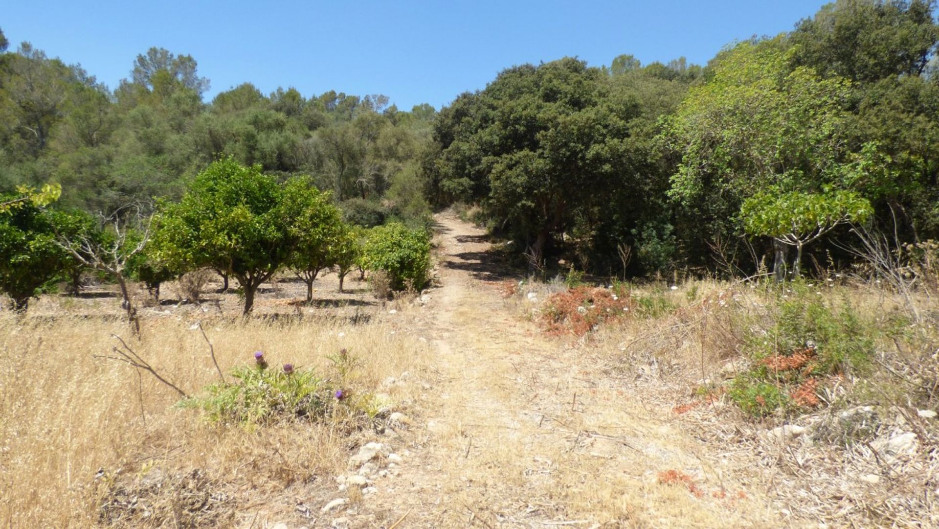 Condominio nel Sant Joan, Mallorca 10052402