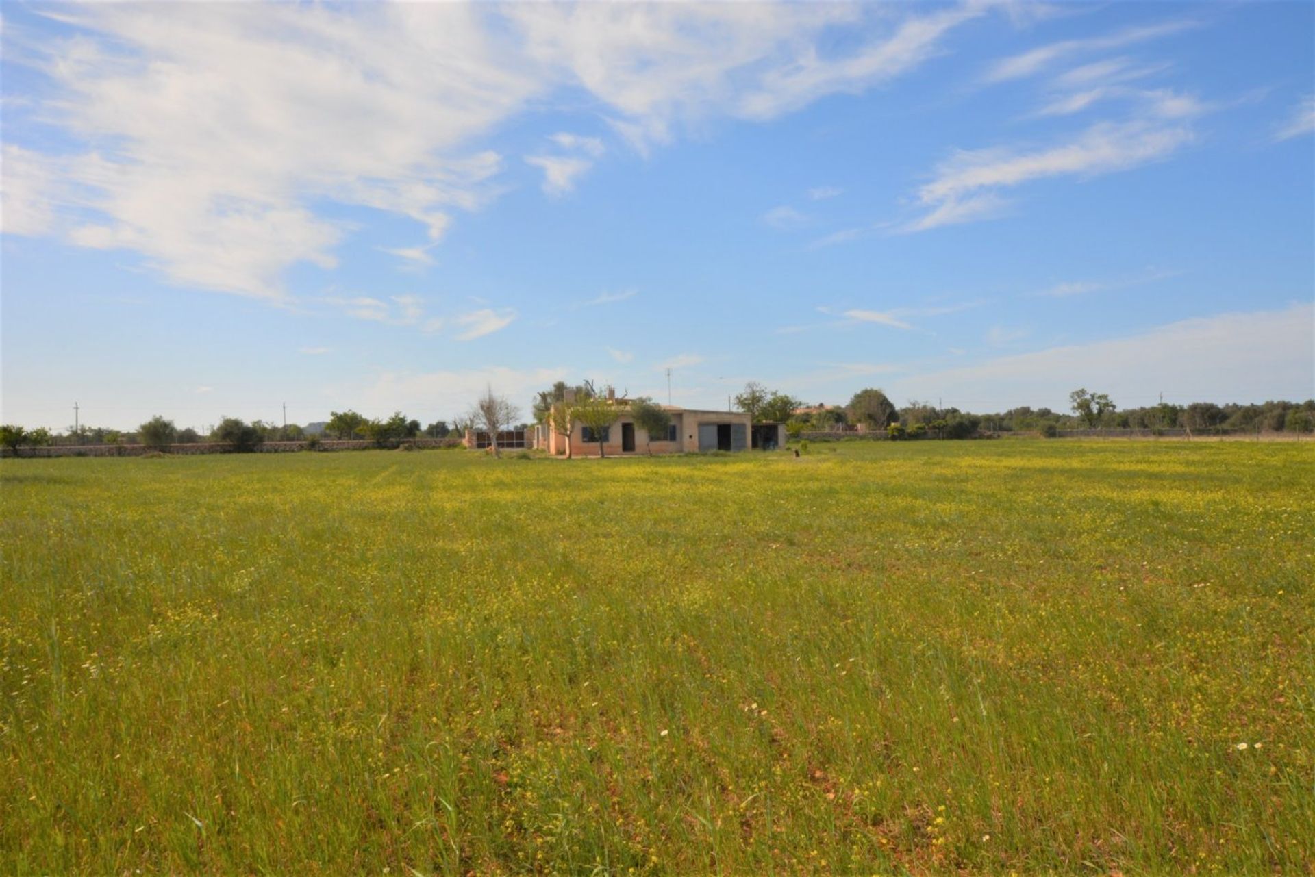 Kondominium di Porreres Campo, Mallorca 10052410