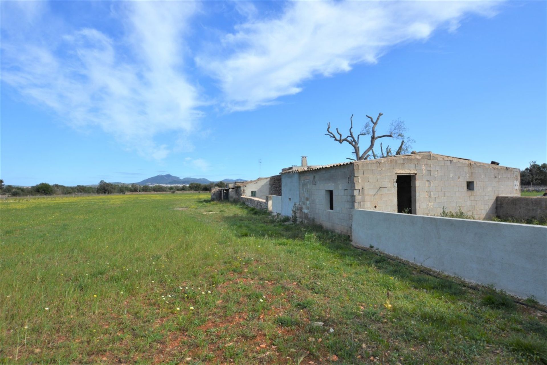 Kondominium di Porreres Campo, Mallorca 10052410