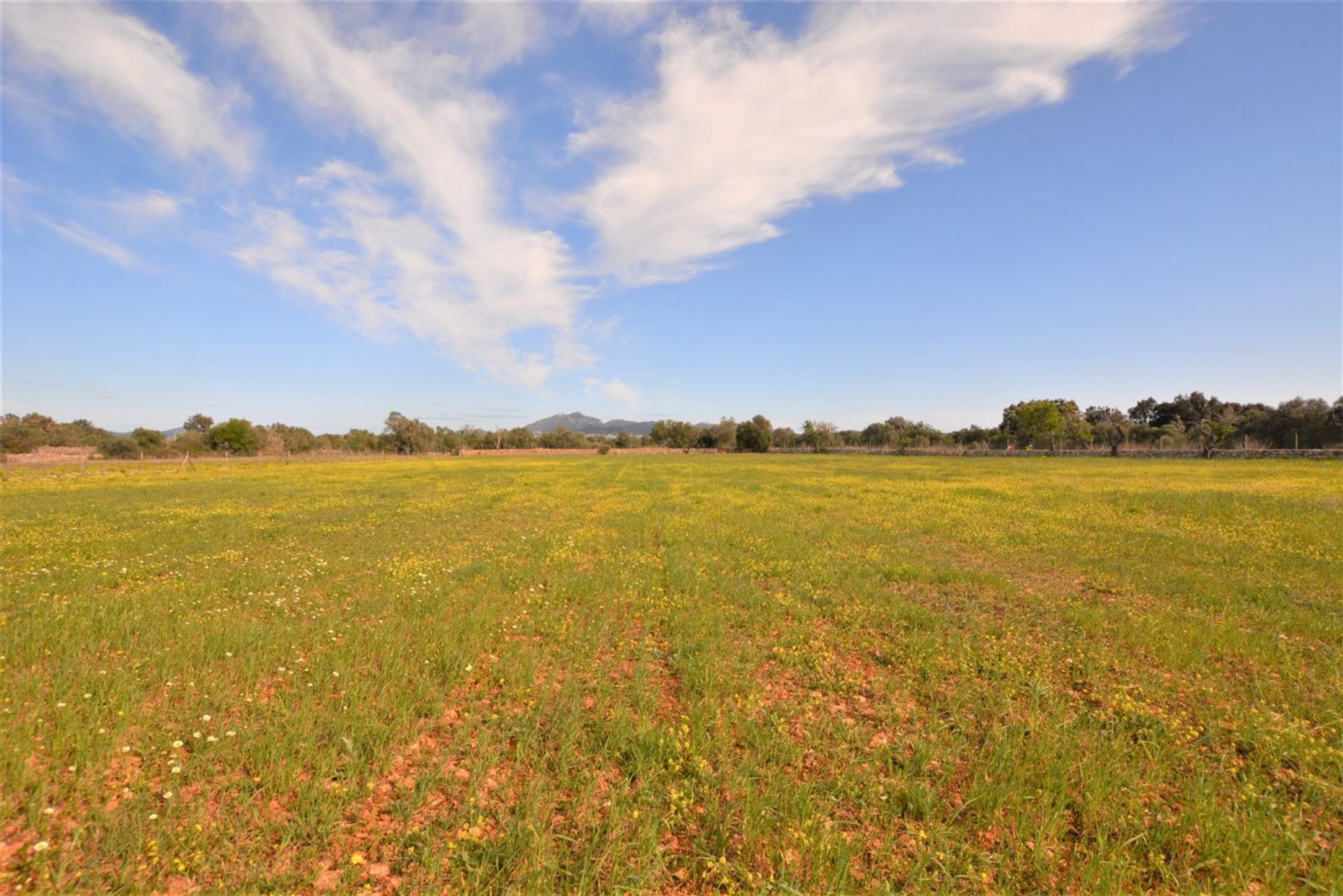 Kondominium di Porreres Campo, Mallorca 10052410