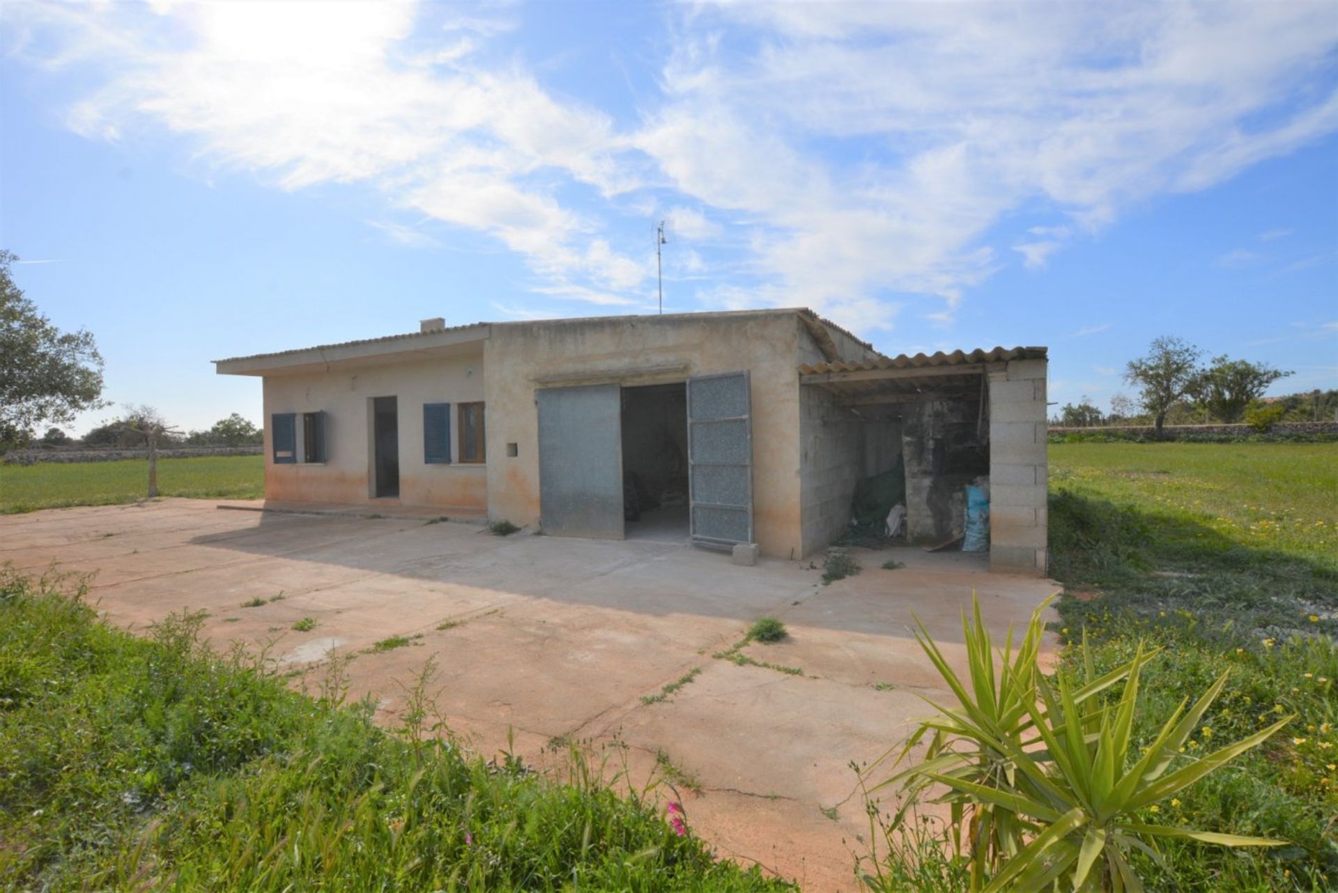 Borettslag i Porreres Campo, Mallorca 10052410