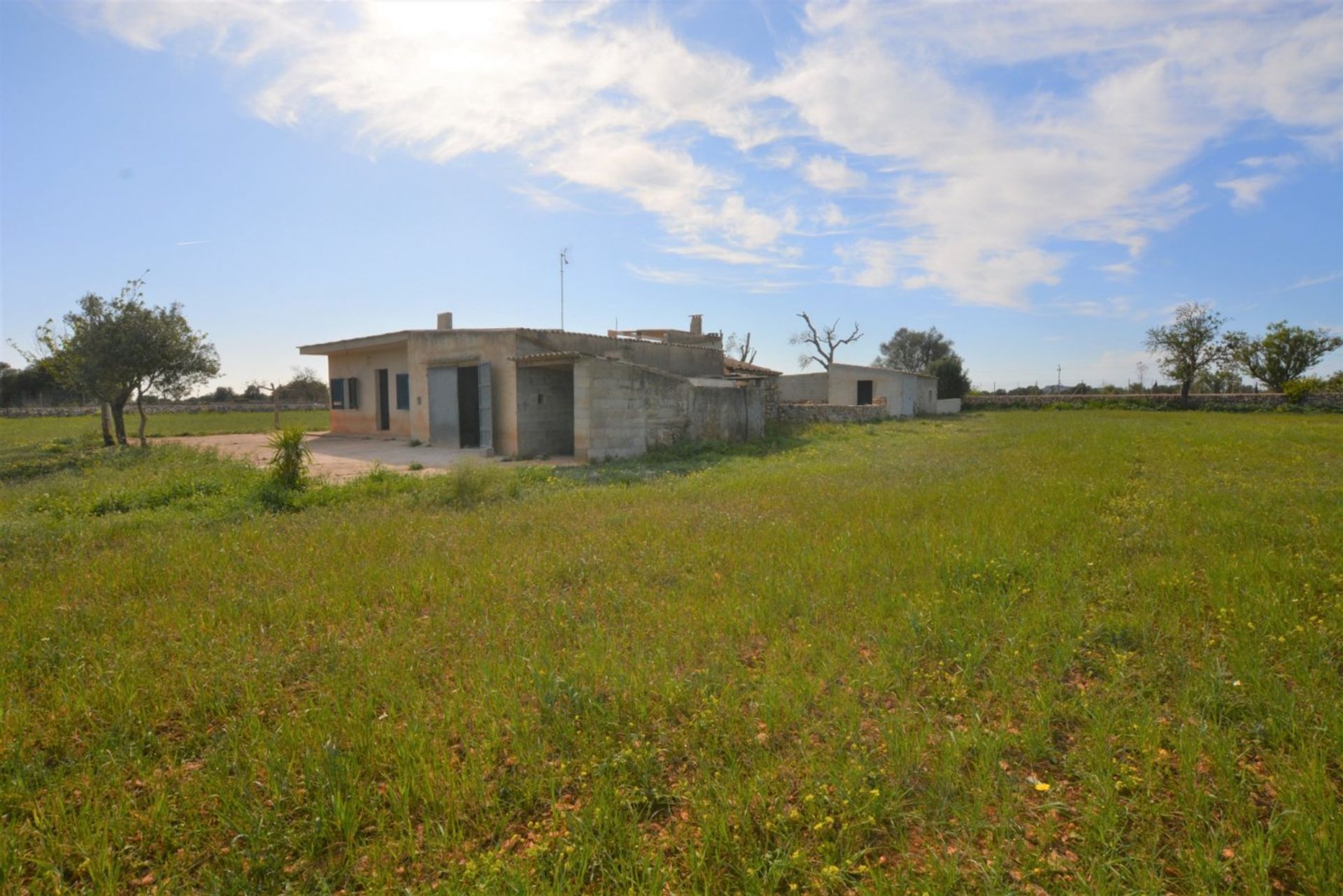 Osakehuoneisto sisään Porreres Campo, Mallorca 10052410