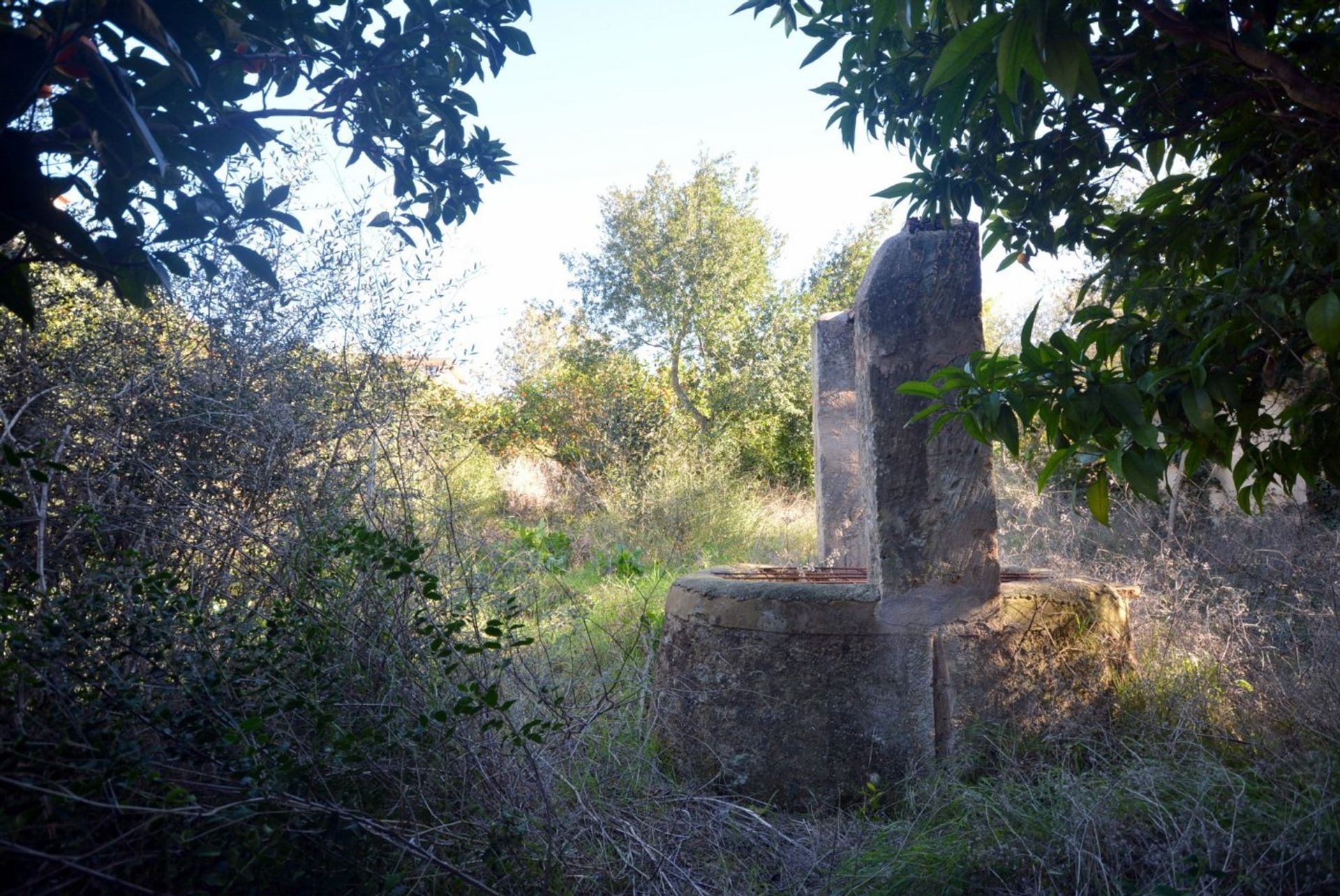 Land i Montuiri, Mallorca 10052484