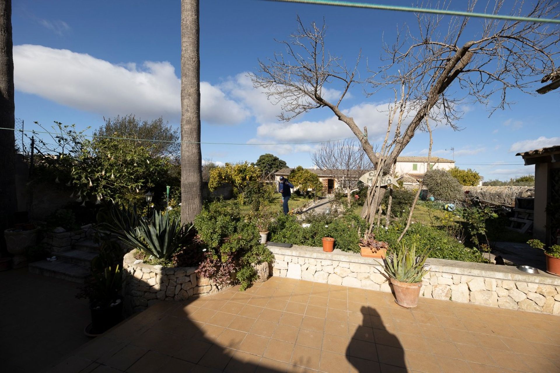 Hus i Lloret de Vista Alegre, Mallorca 10052502