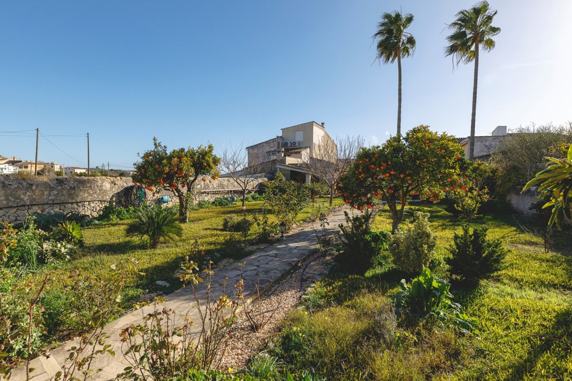 Hus i Lloret de Vista Alegre, Mallorca 10052502