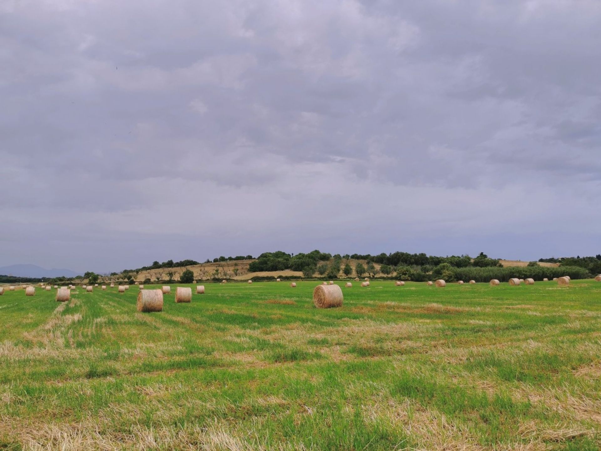 Συγκυριαρχία σε Ariany, Mallorca 10052530