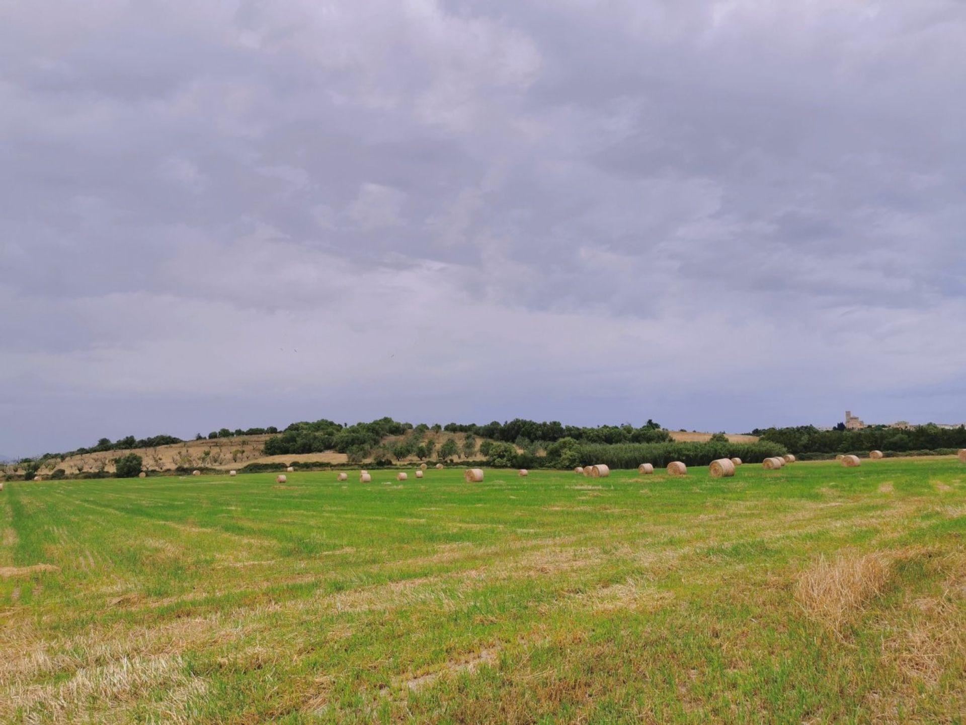 Συγκυριαρχία σε Ariany, Mallorca 10052530