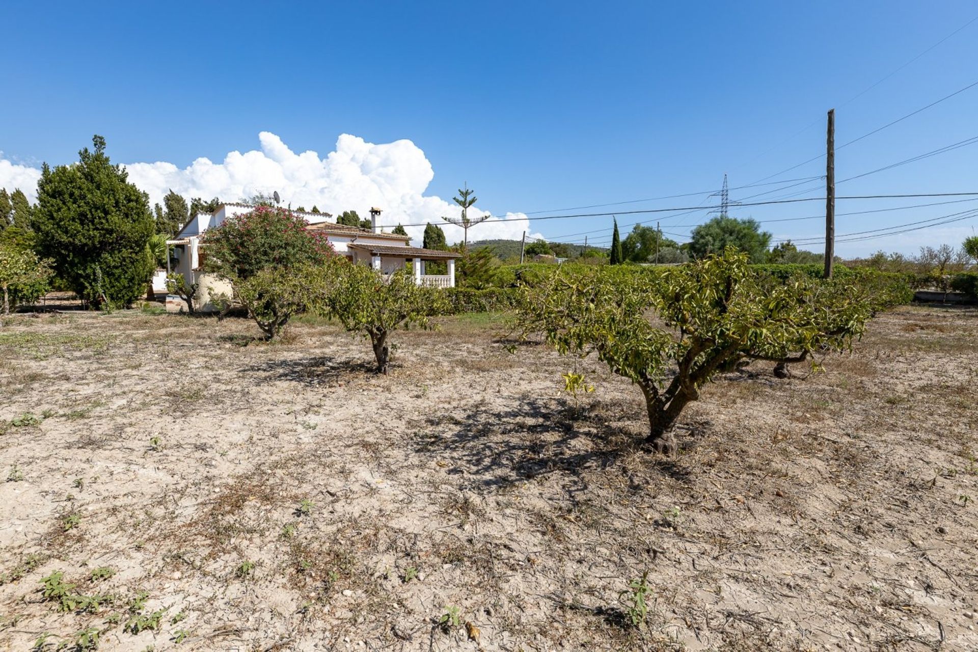 Condominium in Marratxinet, Mallorca 10052544