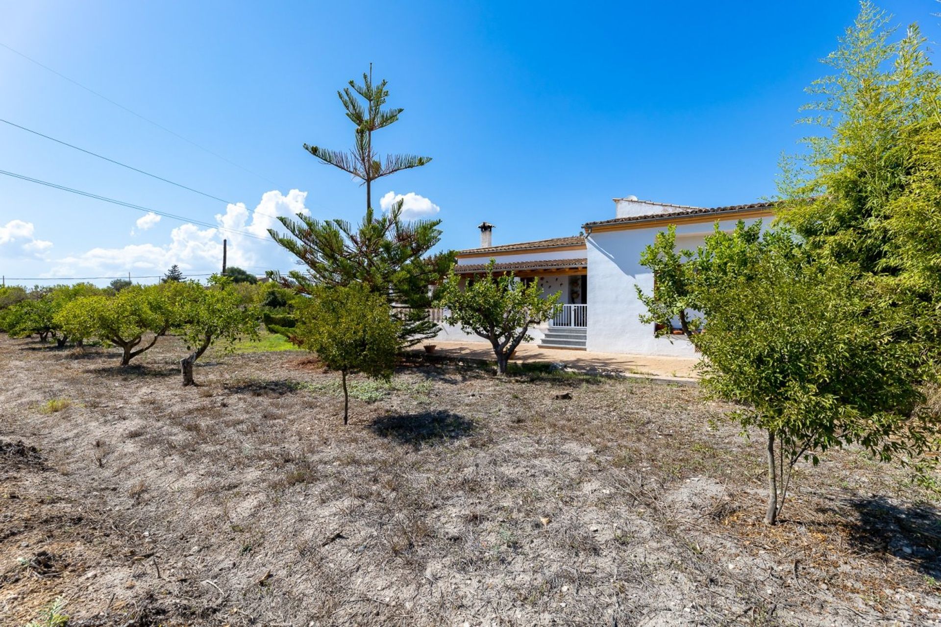 Condominium in Marratxinet, Mallorca 10052544