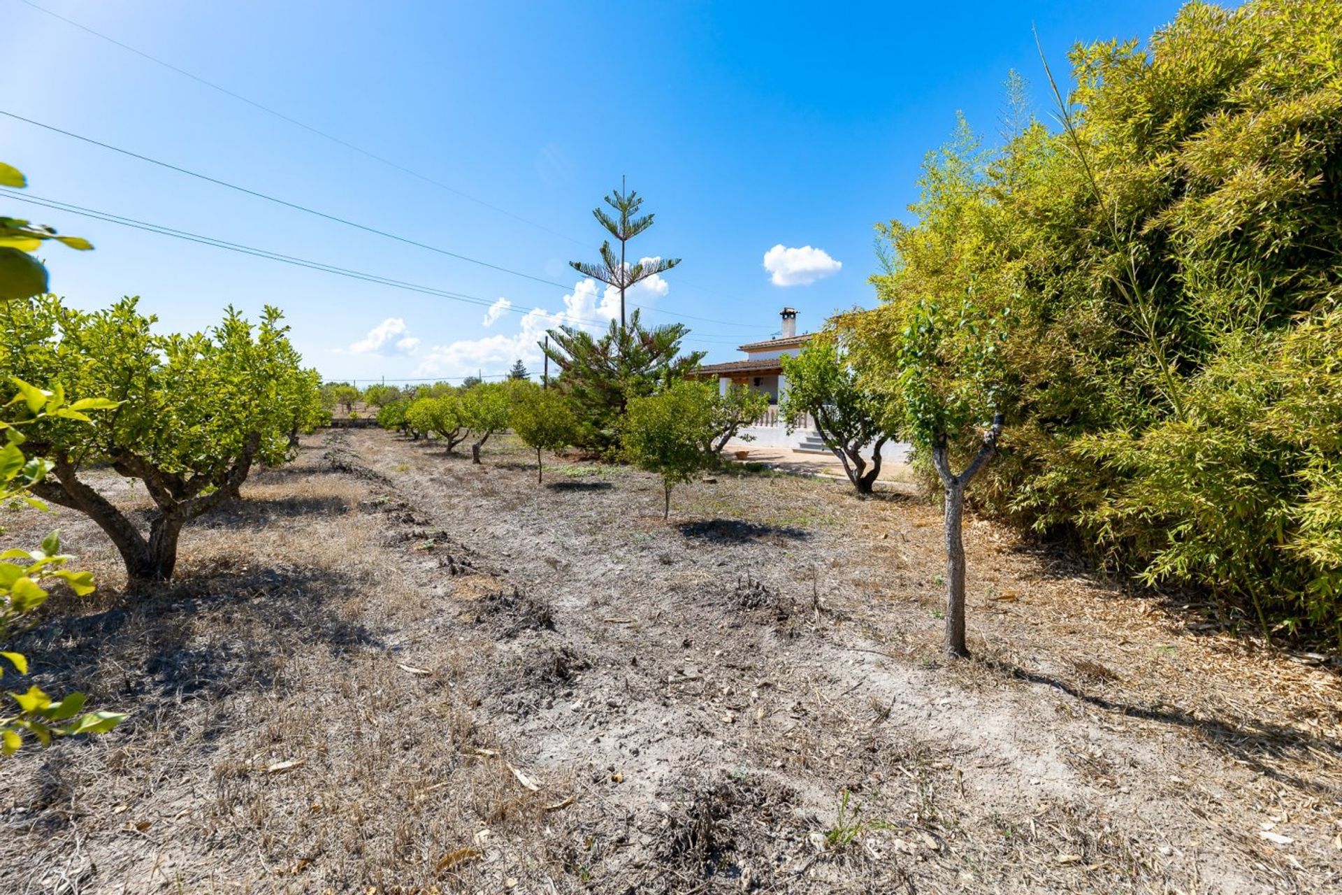 Condominium in Marratxinet, Mallorca 10052544