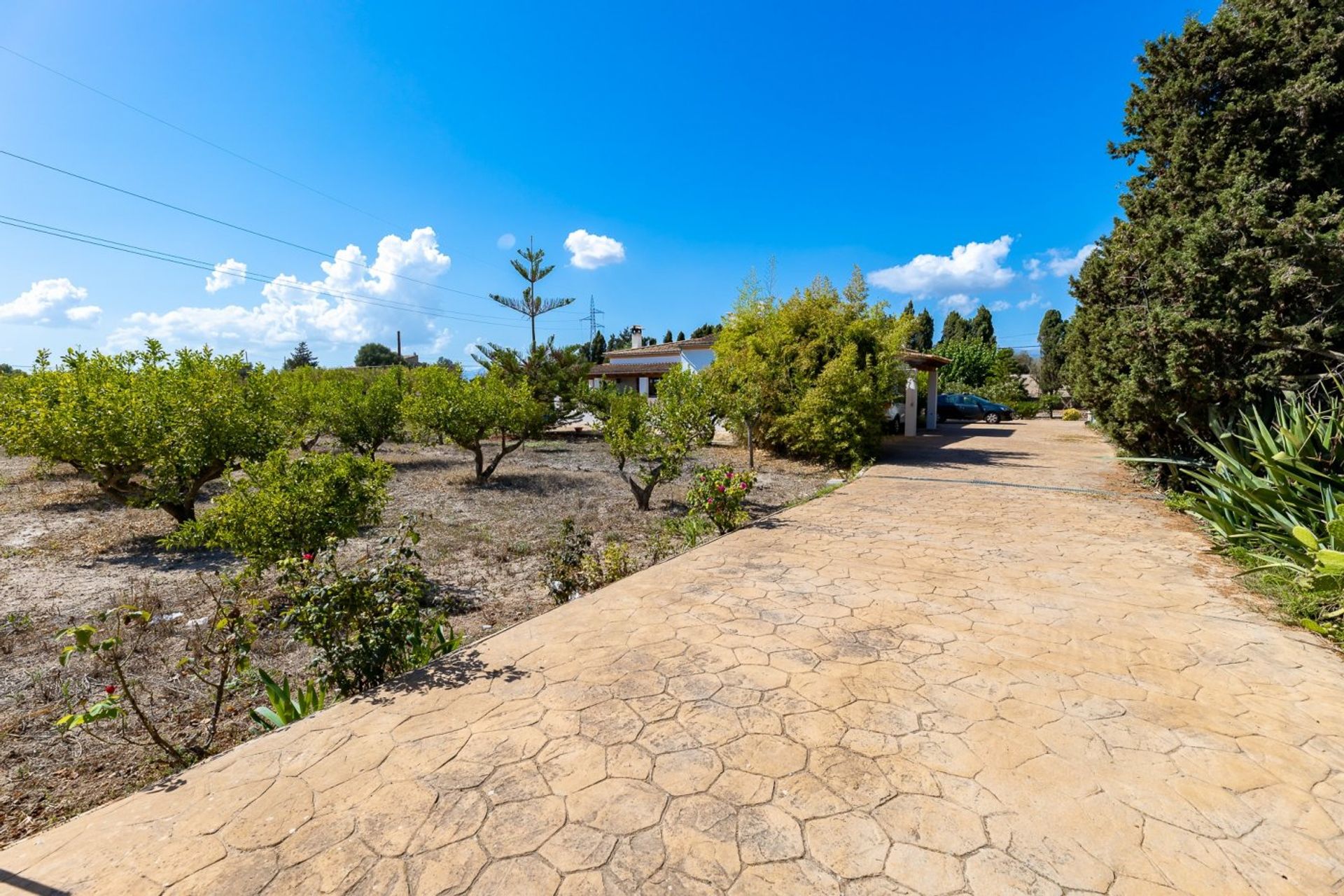 Eigentumswohnung im Marratxinet, Mallorca 10052544