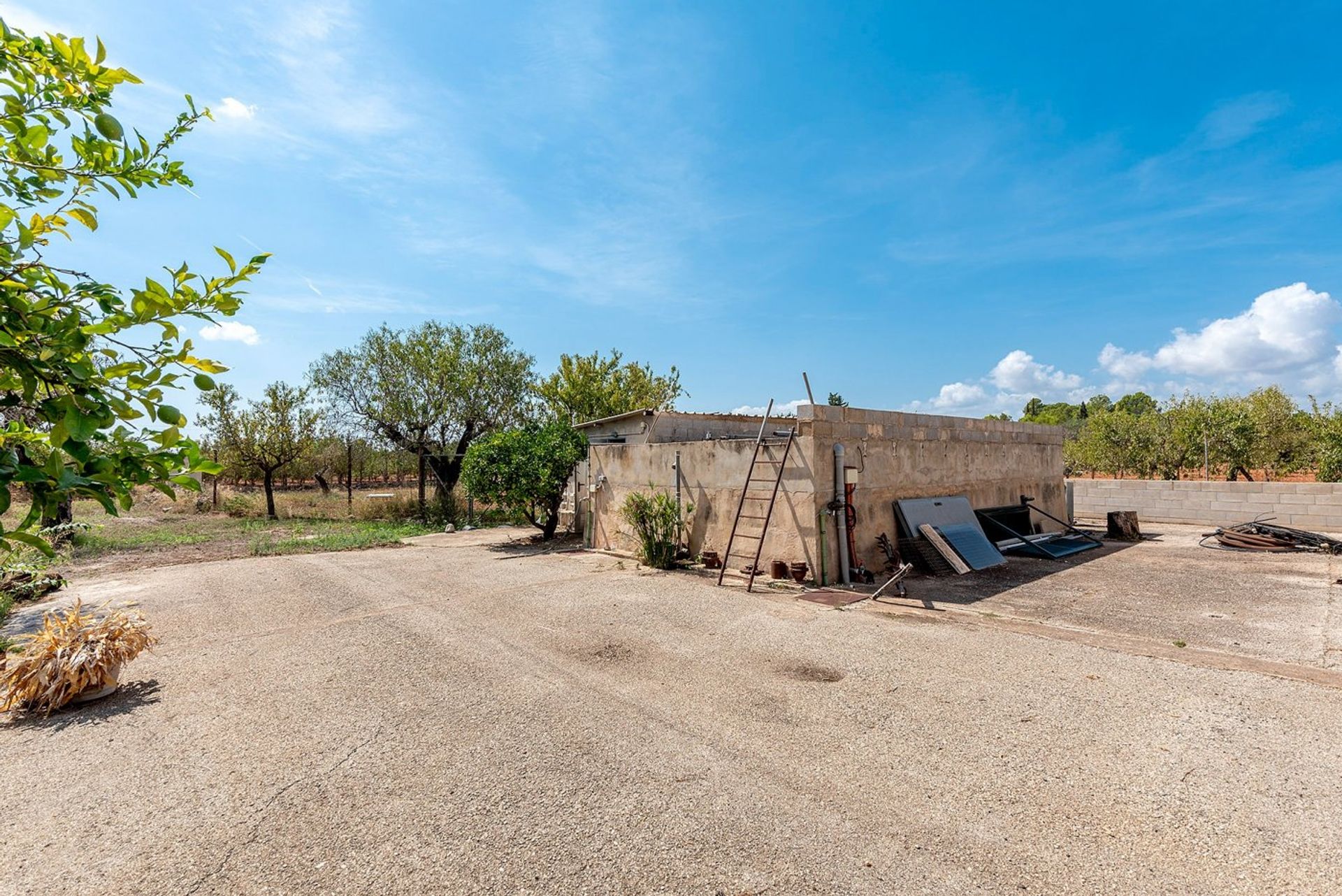 Borettslag i Bunyola, Mallorca 10052557