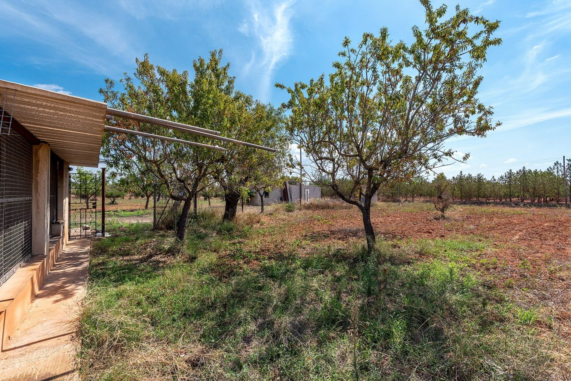 Borettslag i Bunyola, Mallorca 10052557