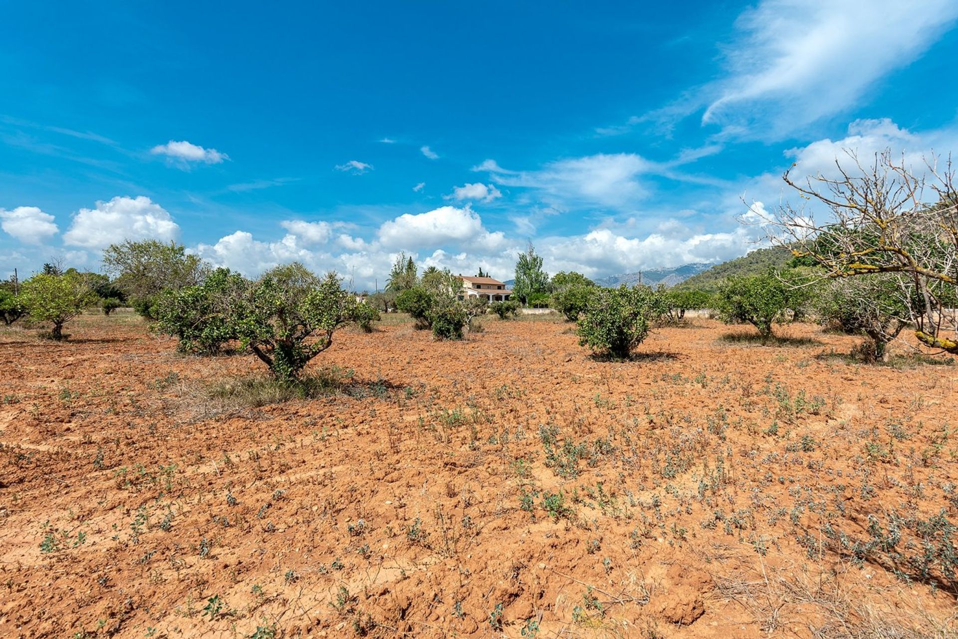 Borettslag i Bunyola, Mallorca 10052557