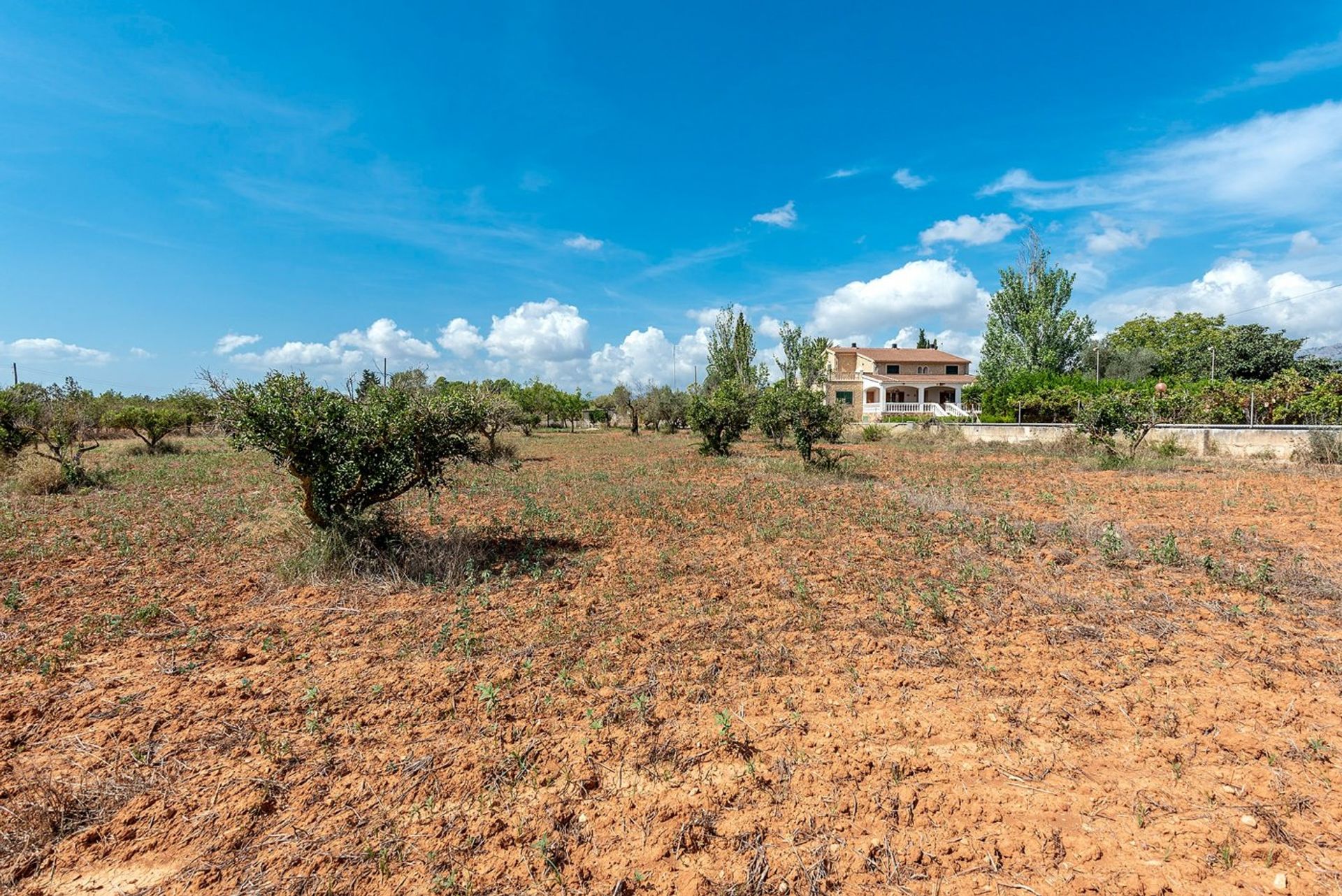 Borettslag i Bunyola, Mallorca 10052557