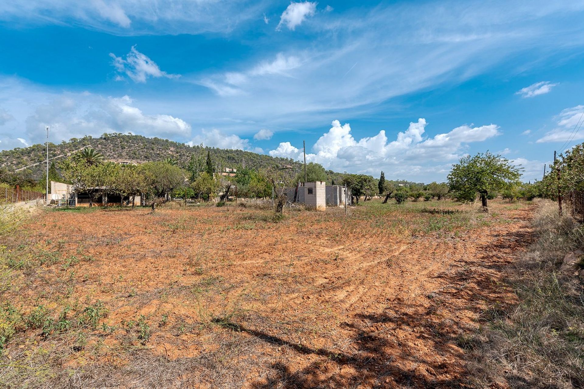 Borettslag i Bunyola, Mallorca 10052557