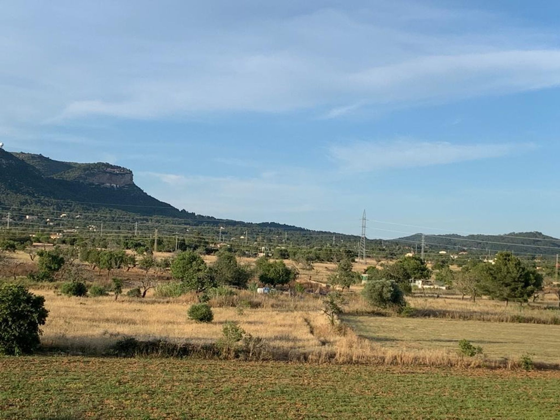 Земля в Llucmajor Poble, Mallorca 10052561