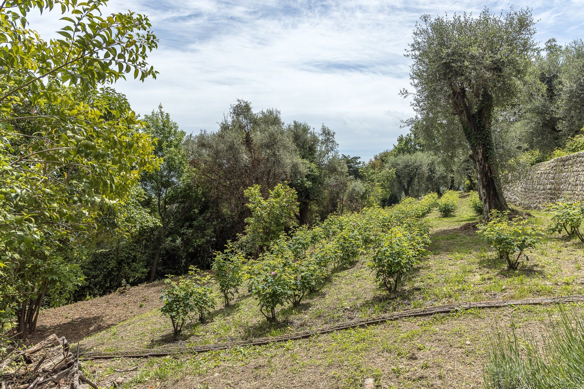 casa en Grasse, Alpes-Maritimes 10053892