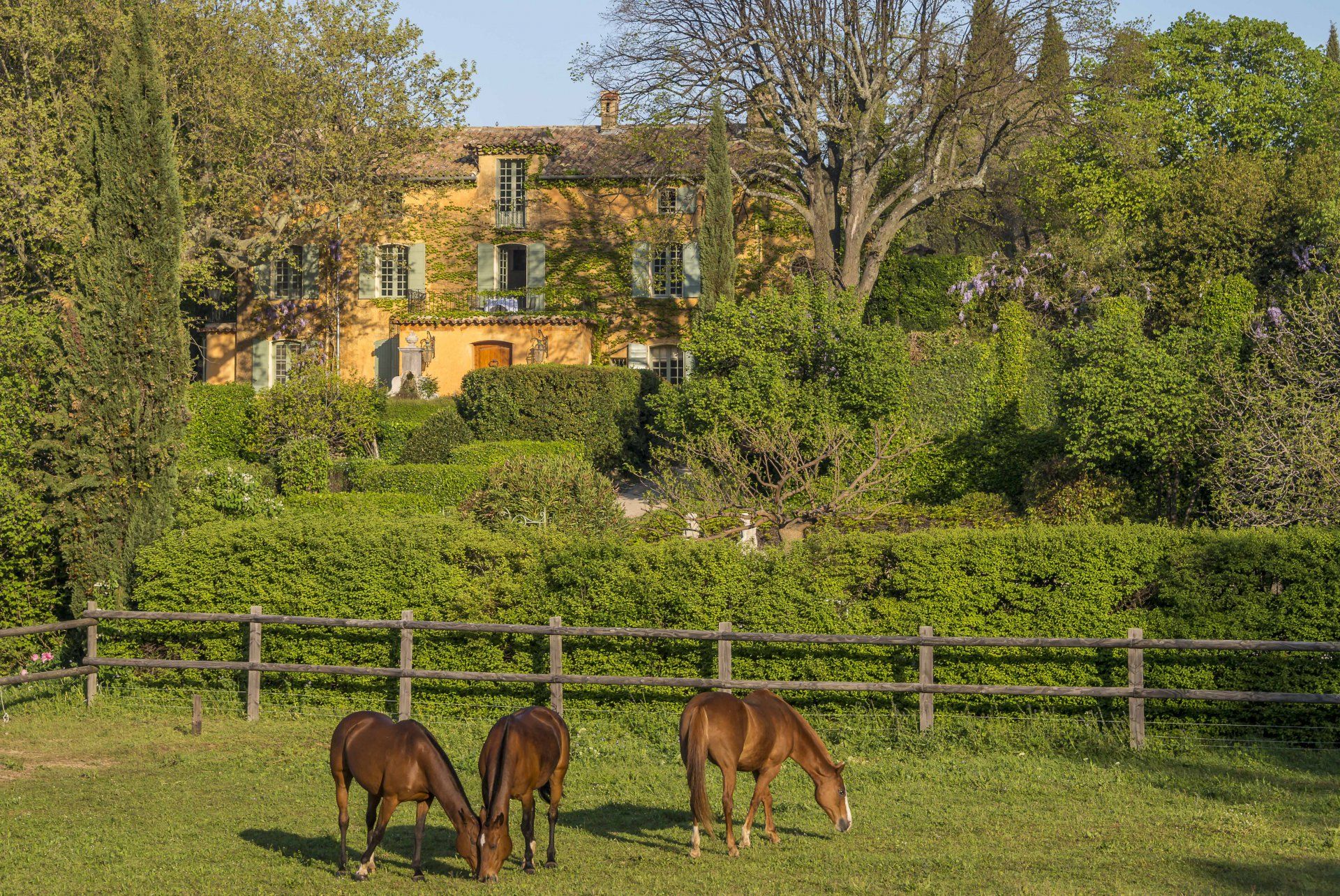 Casa nel Lorgues, Provenza-Alpi-Costa Azzurra 10053978