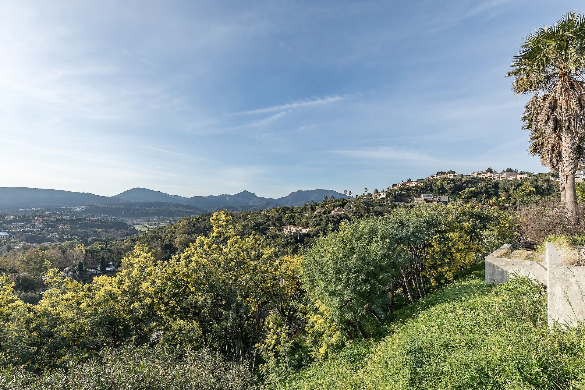 Condominium dans Mandelieu-La-Napoule, Alpes-Maritimes 10054082