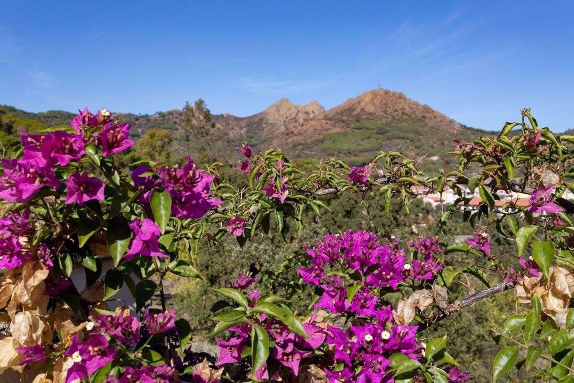 casa no Porto Azzurro,  10054173