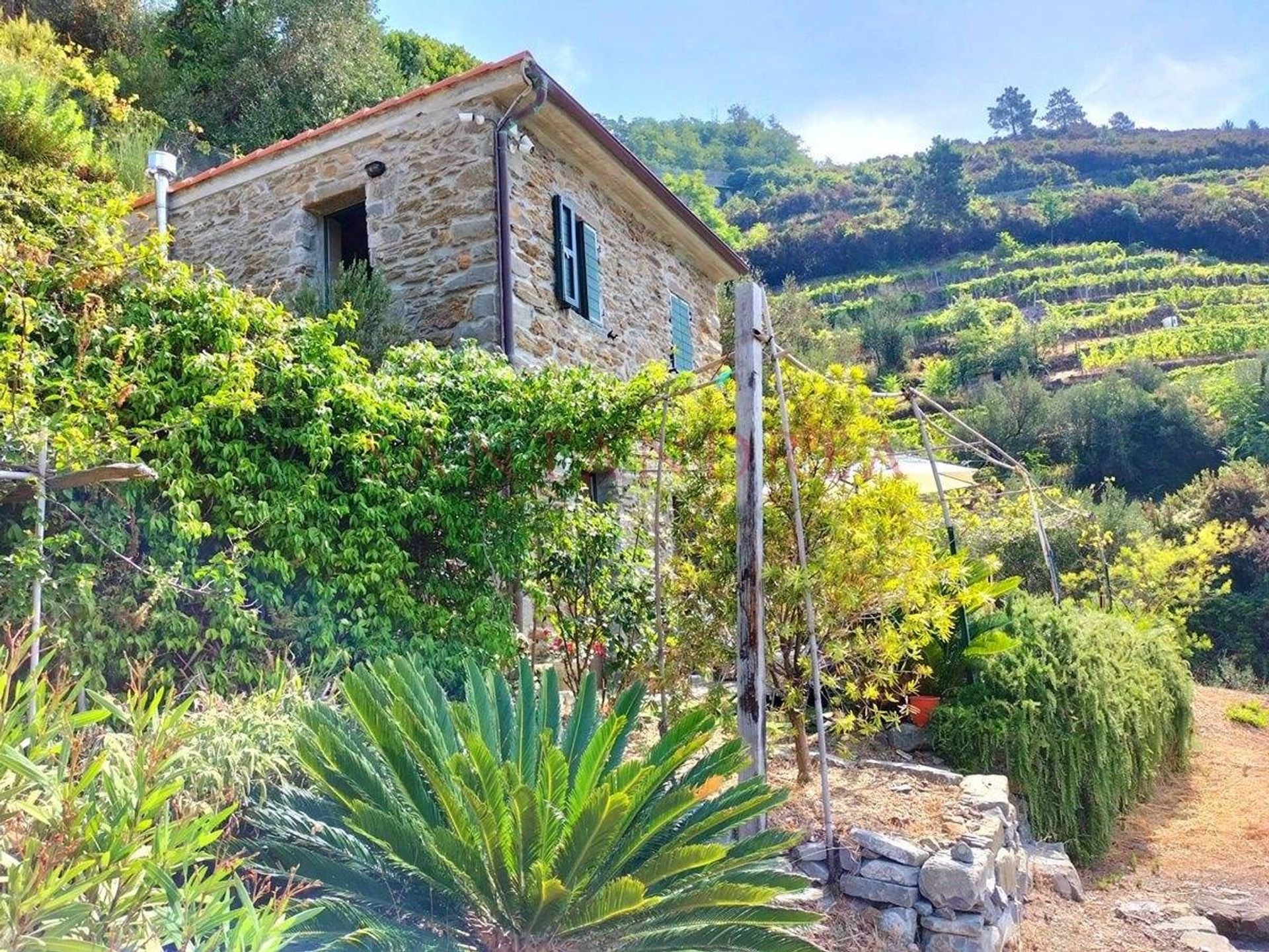 Condominio nel Riomaggiore, Liguria 10054252