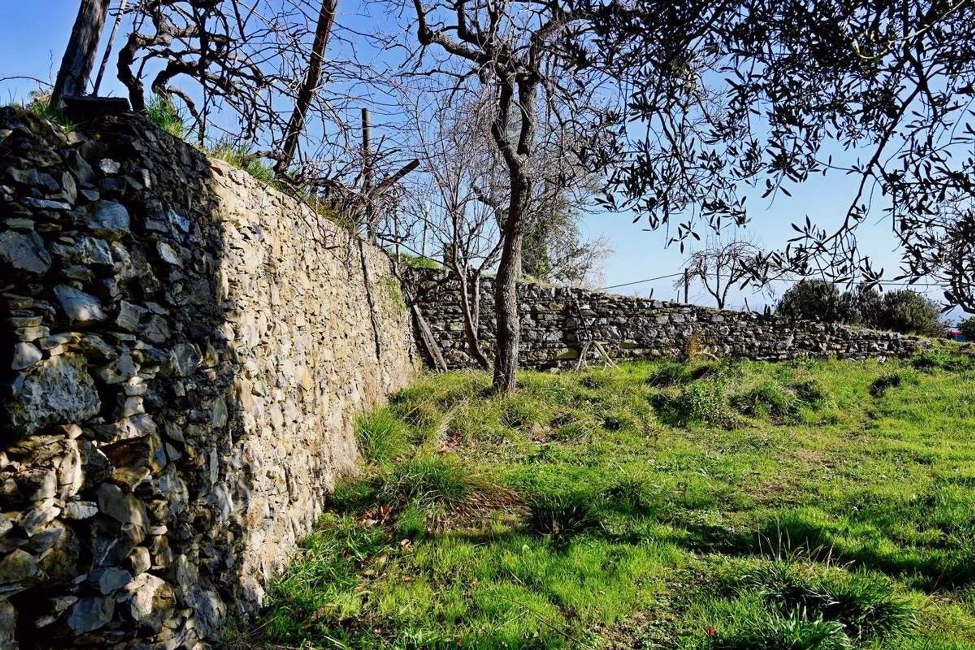 Osakehuoneisto sisään Alassio, Liguria 10054269