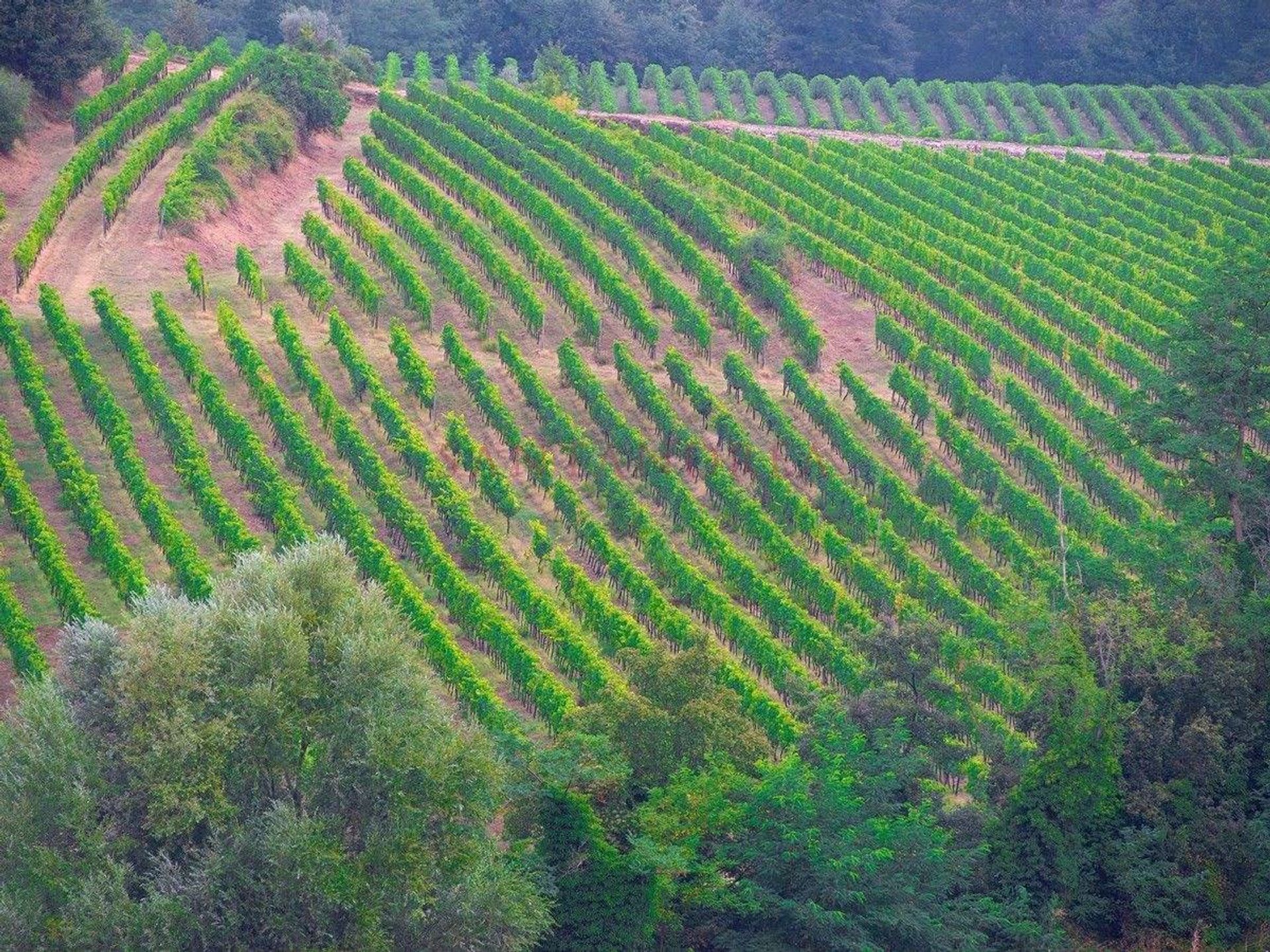 жилой дом в Greve in Chianti,  10054484