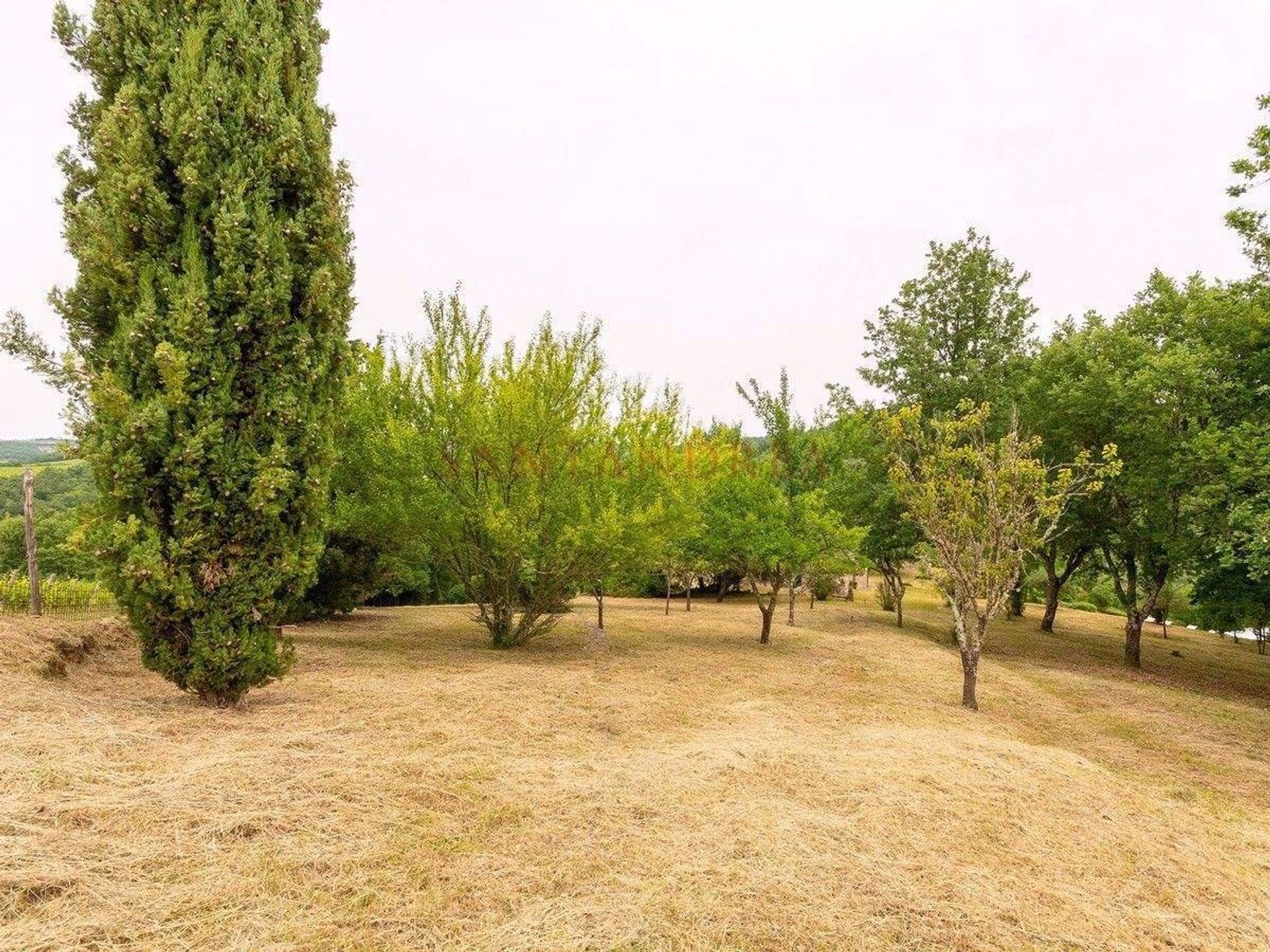 σπίτι σε Gaiole in Chianti,  10054514