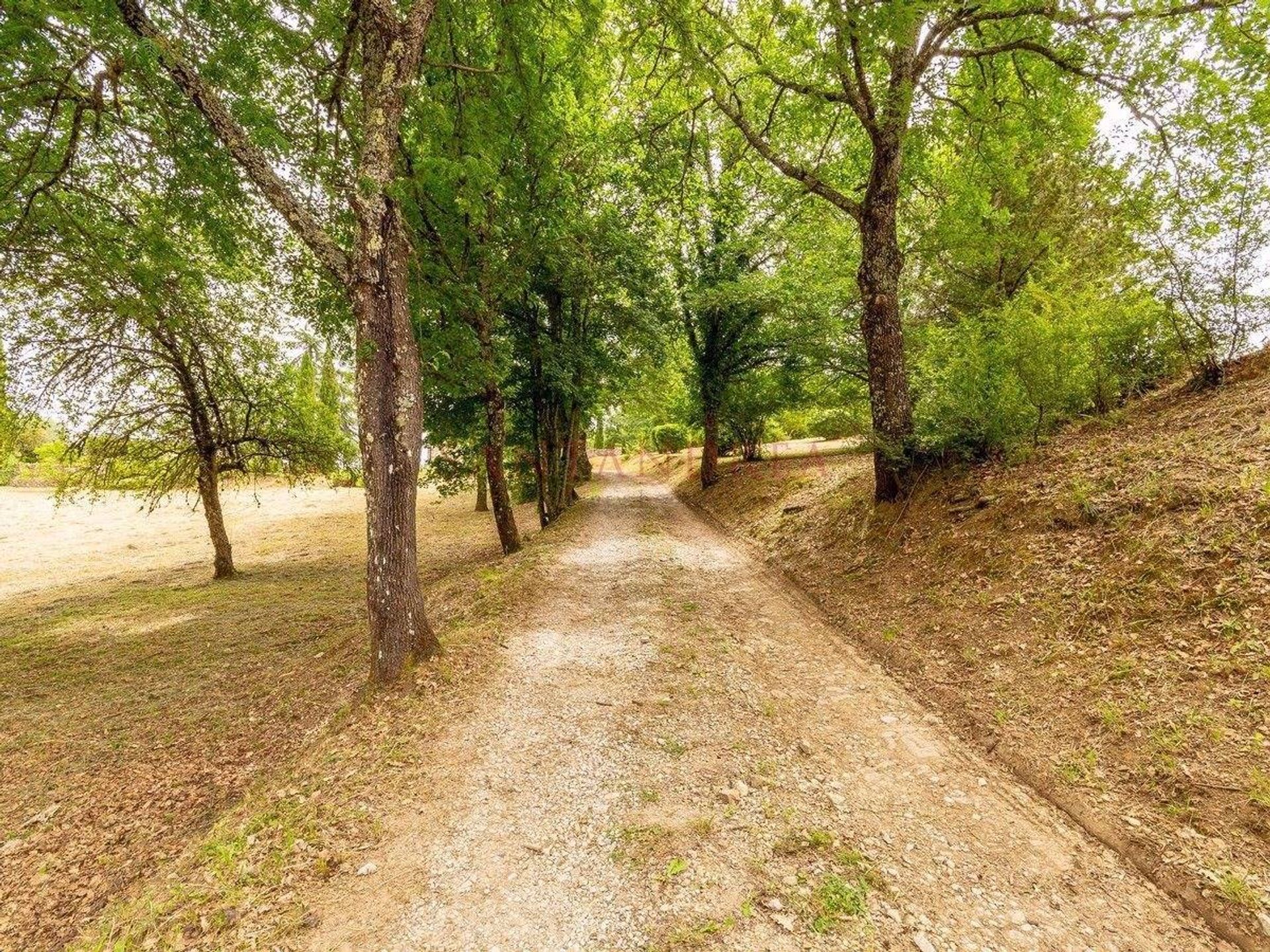 σπίτι σε Gaiole in Chianti,  10054514